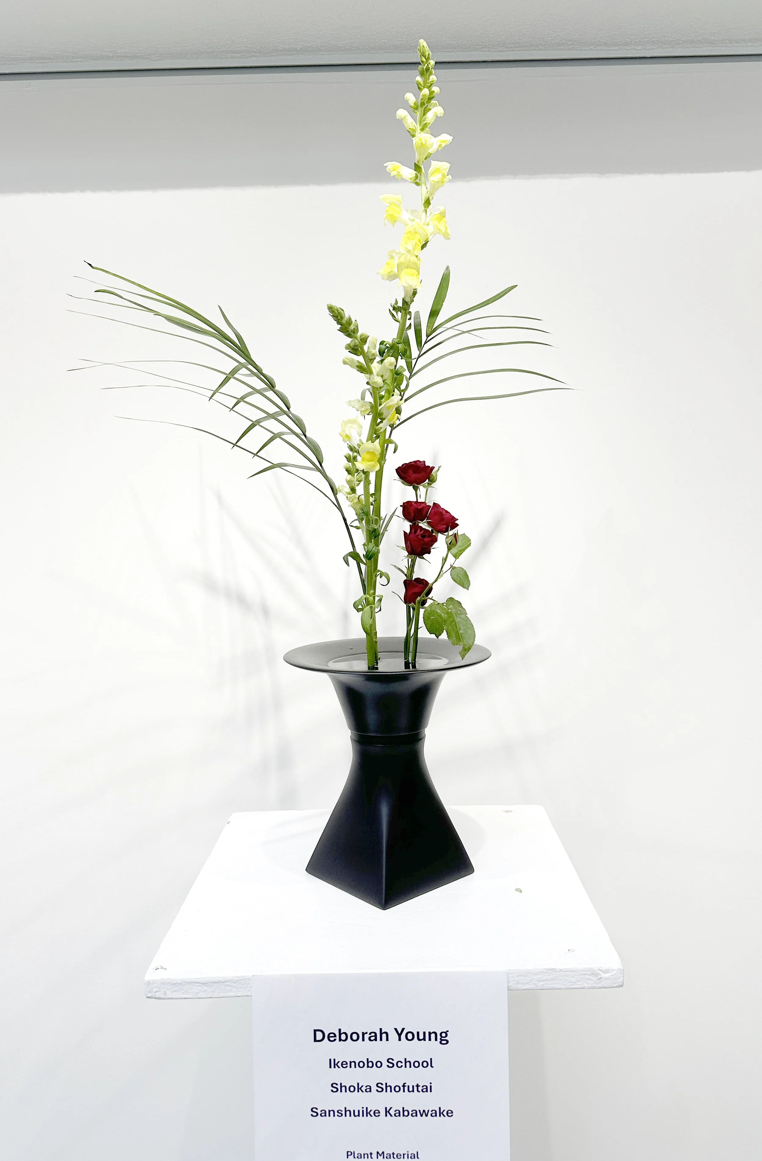 2025-10-24 11.02.48.jpg