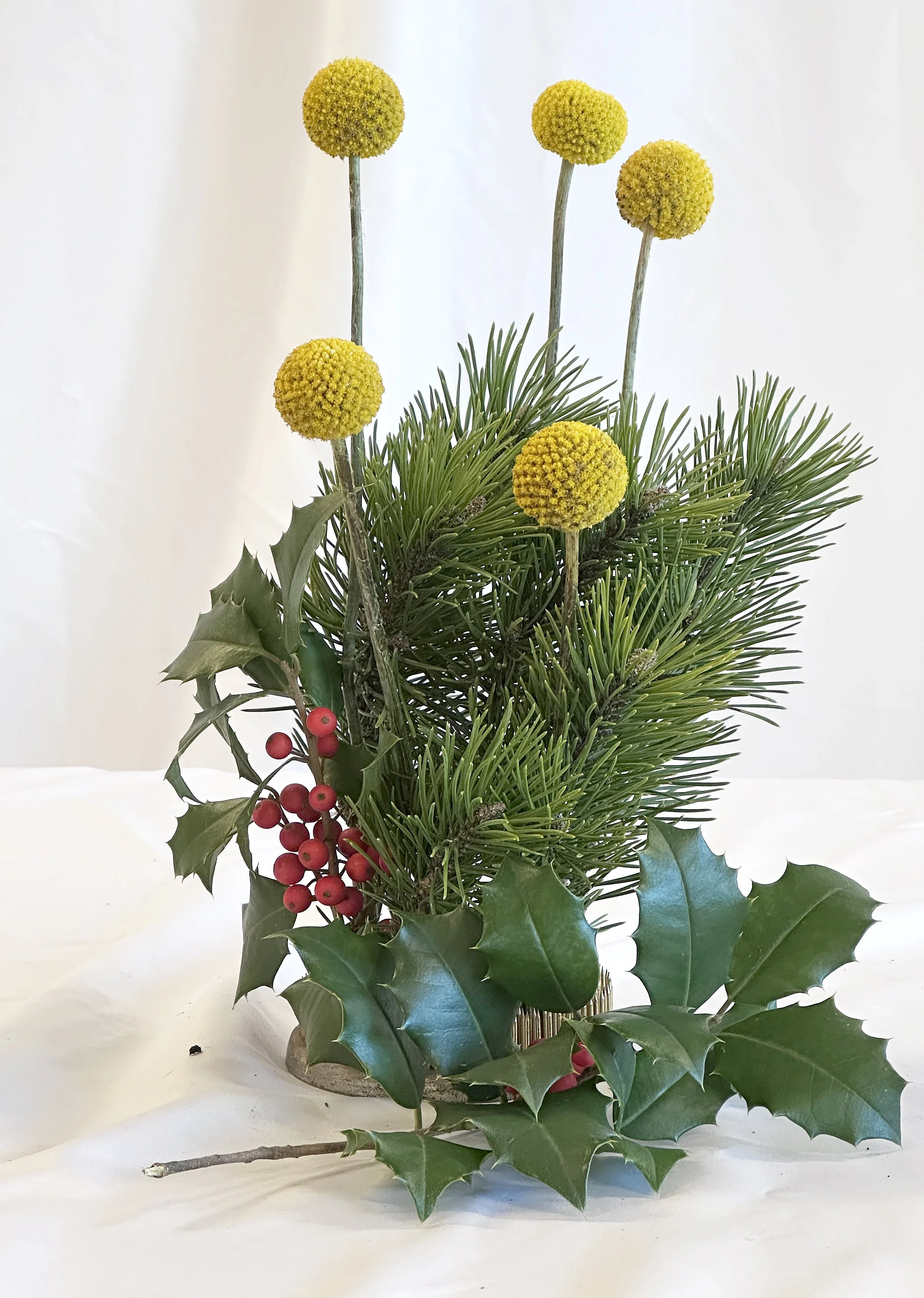 Holiday Freestyle:  Jeanne LaFrance