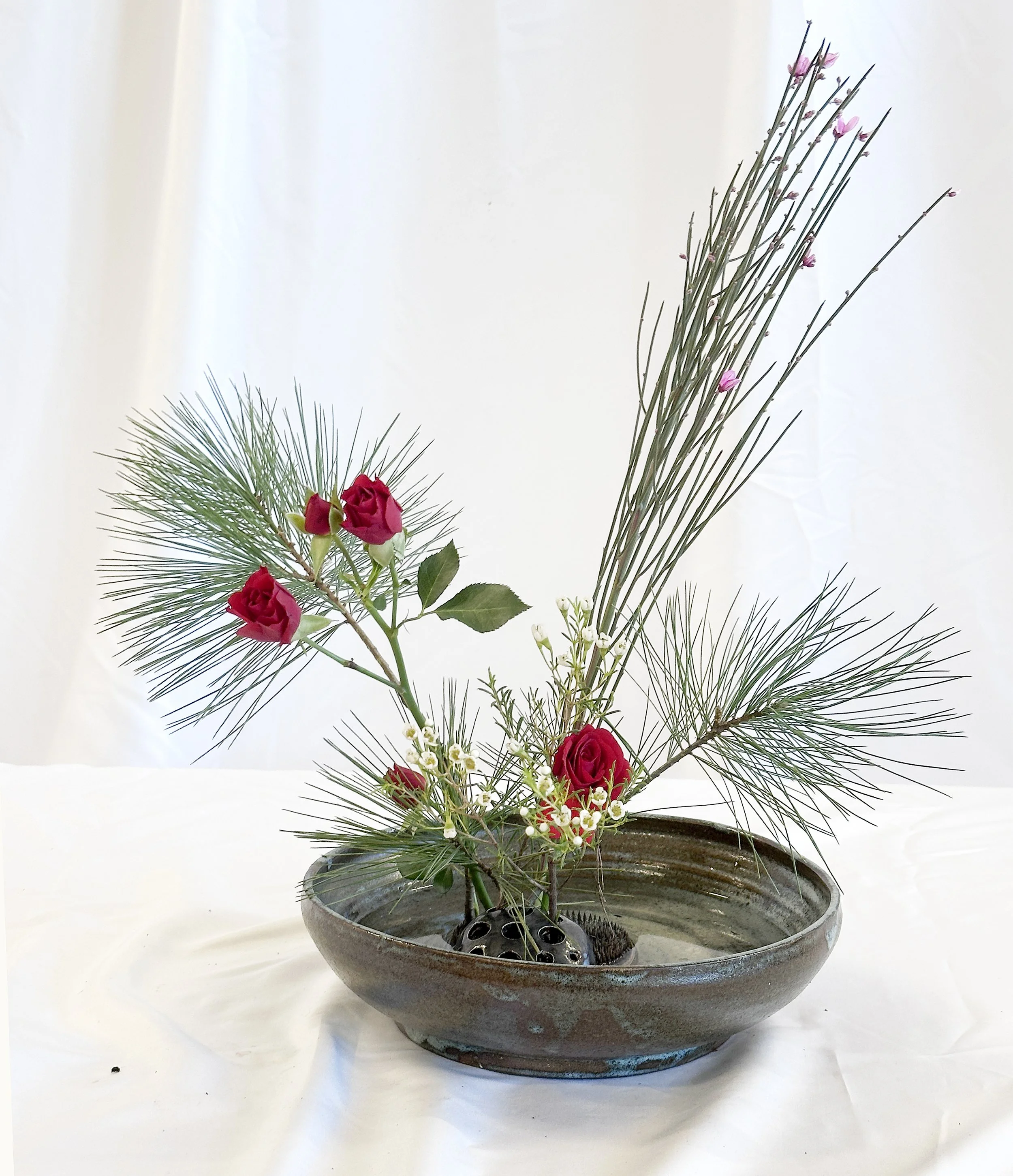 Holiday Freestyle:  Susan Foye