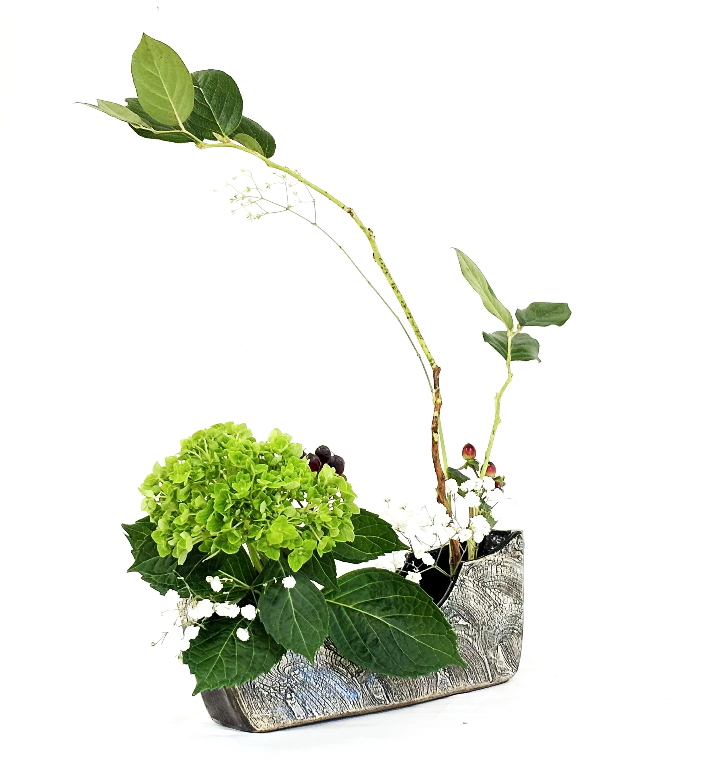 Masumi Ichikawa Naylor