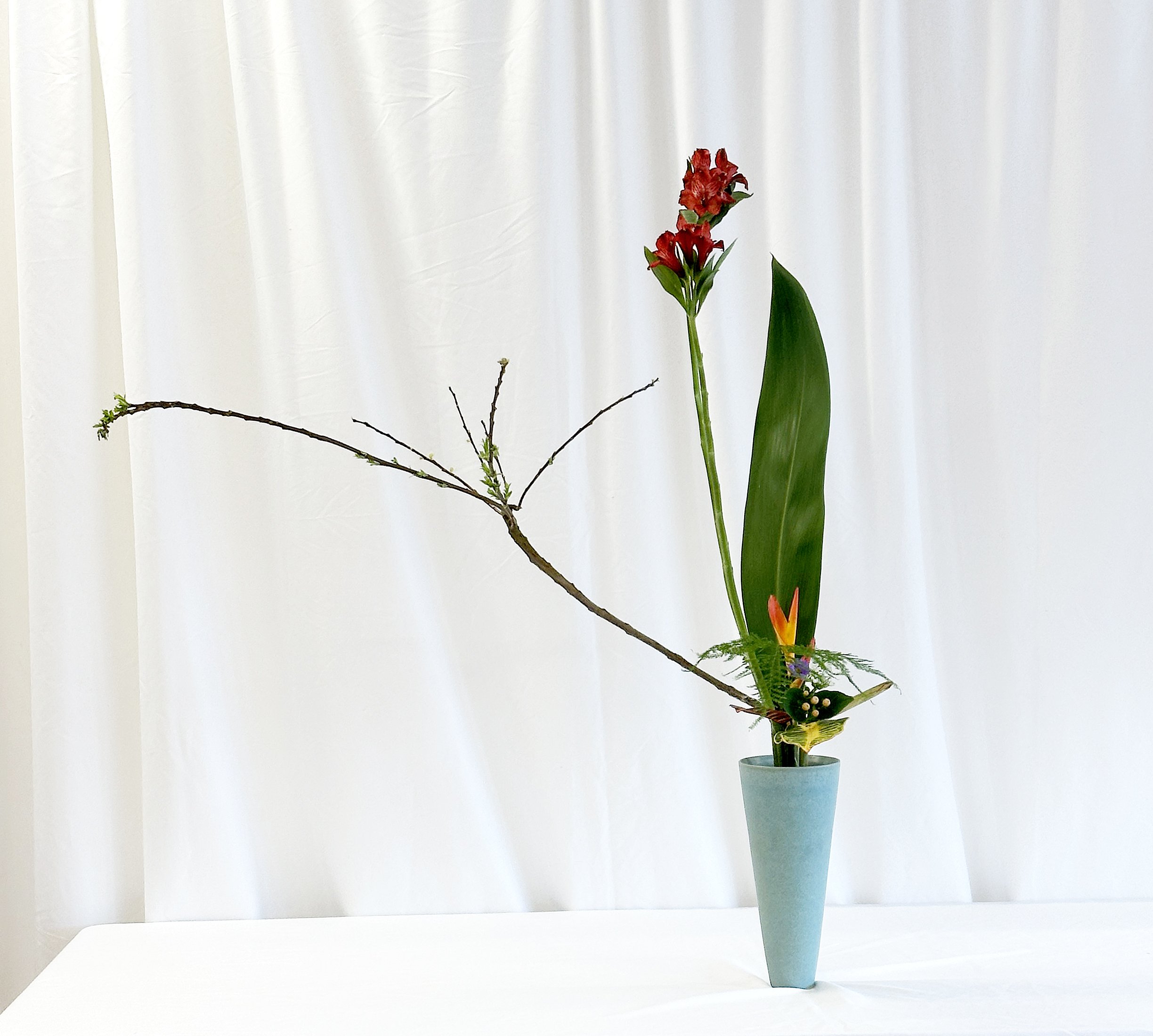 rikka shimputai - Becky Oloffson