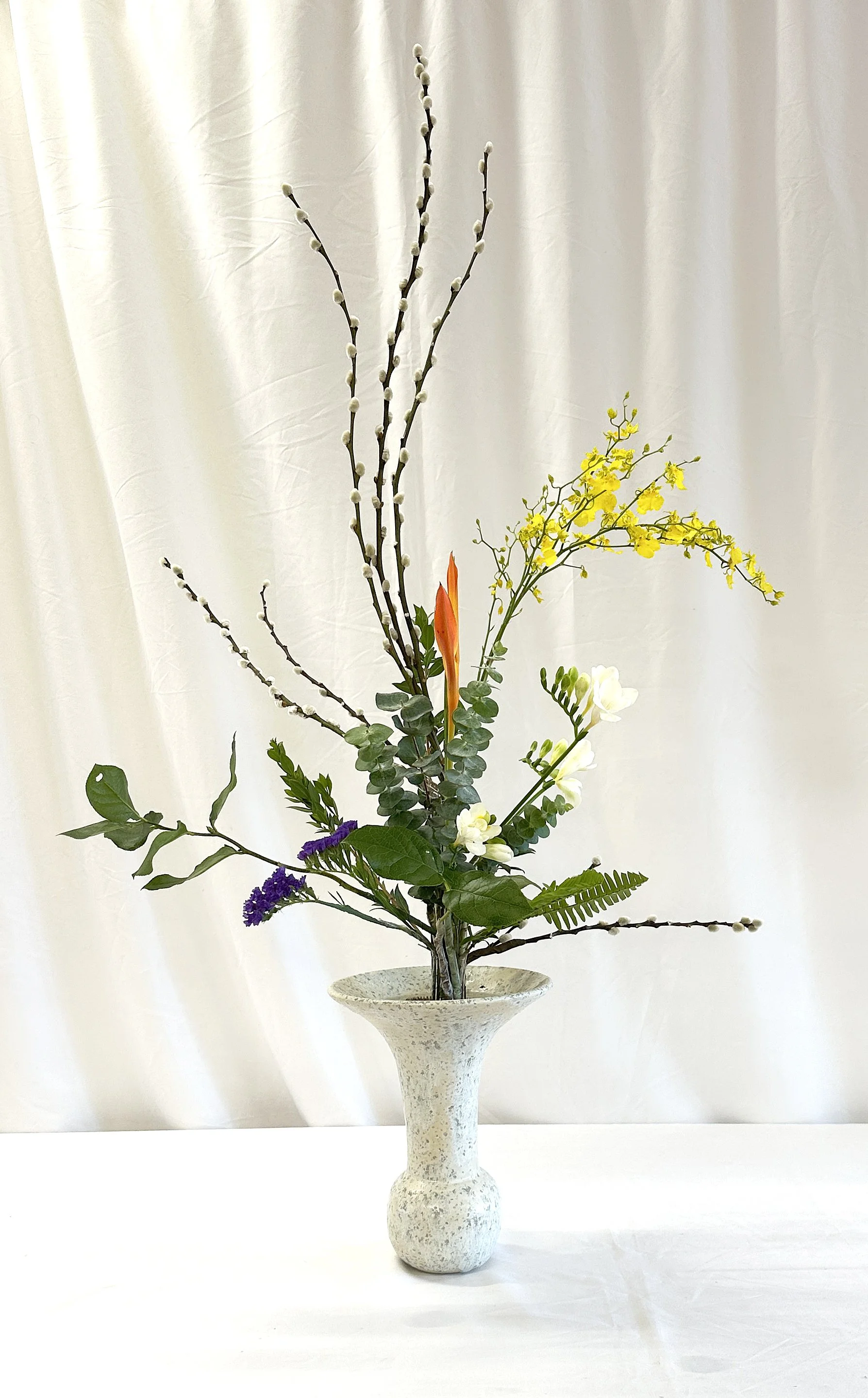 rikka shofutai - Patsy Cunningham