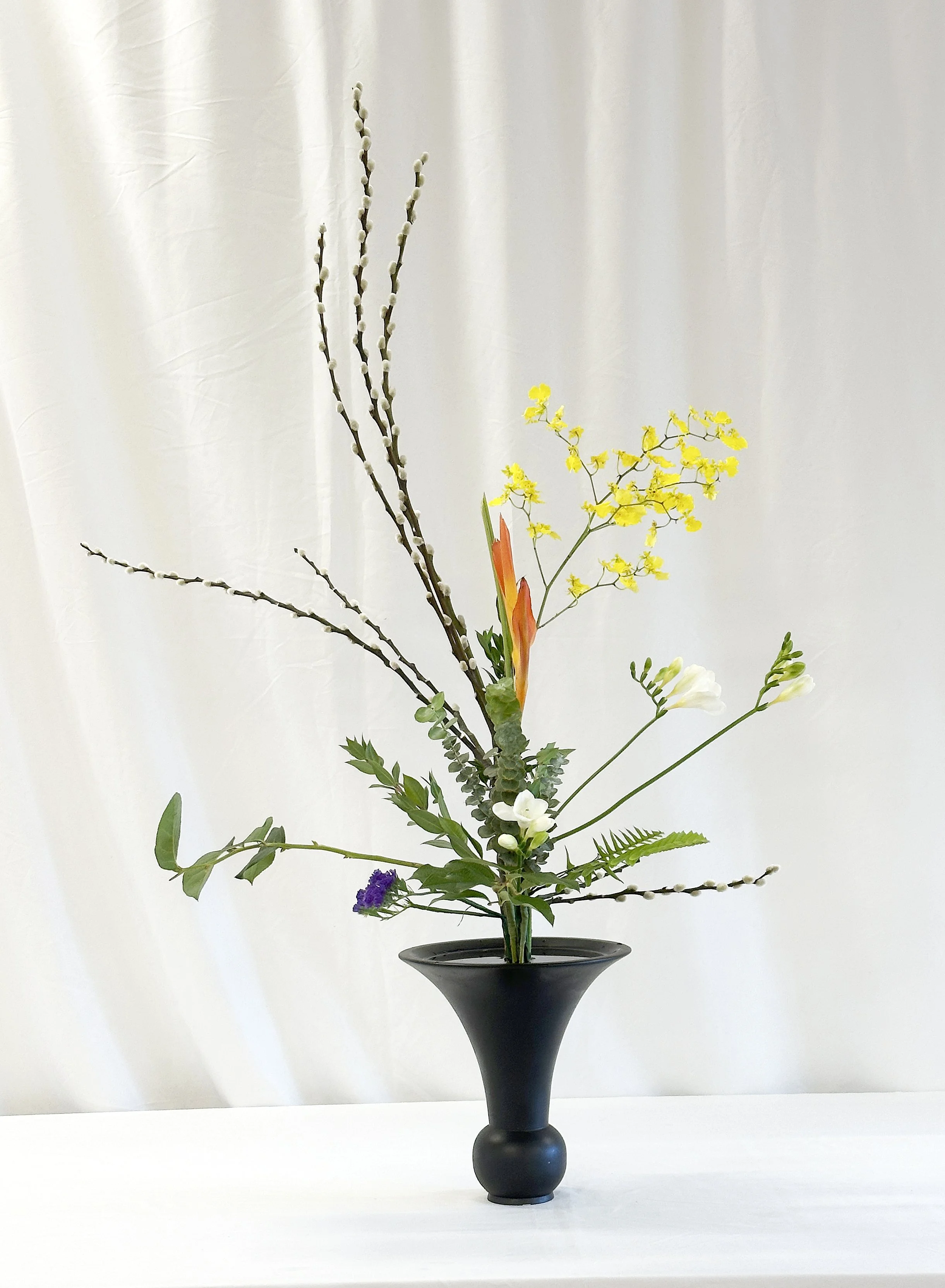 rikka shofutai - Holly Harris