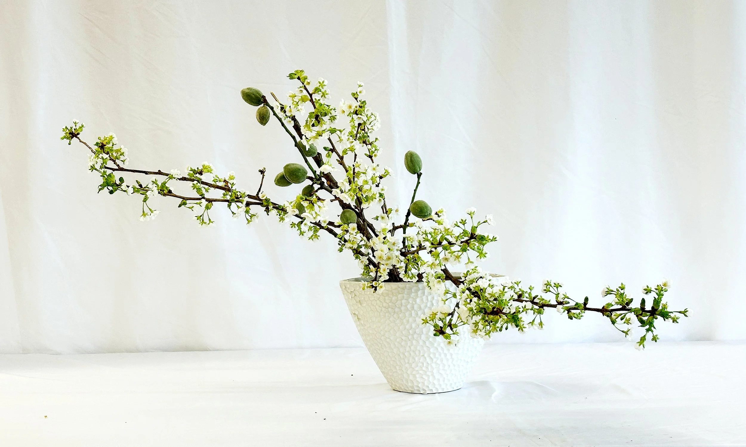 Freestyle - Holly Harris