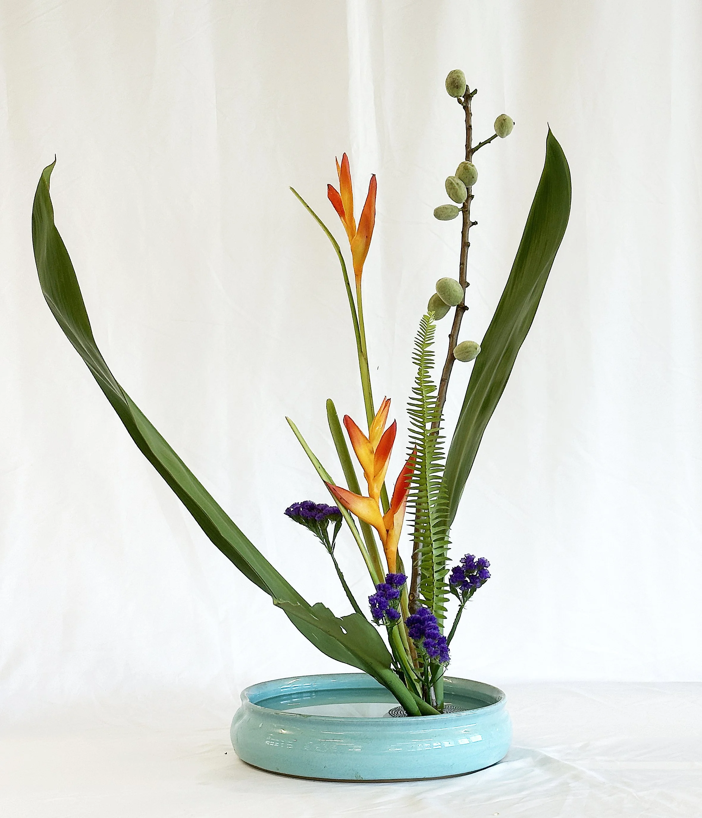 Freestyle - Masumi Ichikawa Naylor