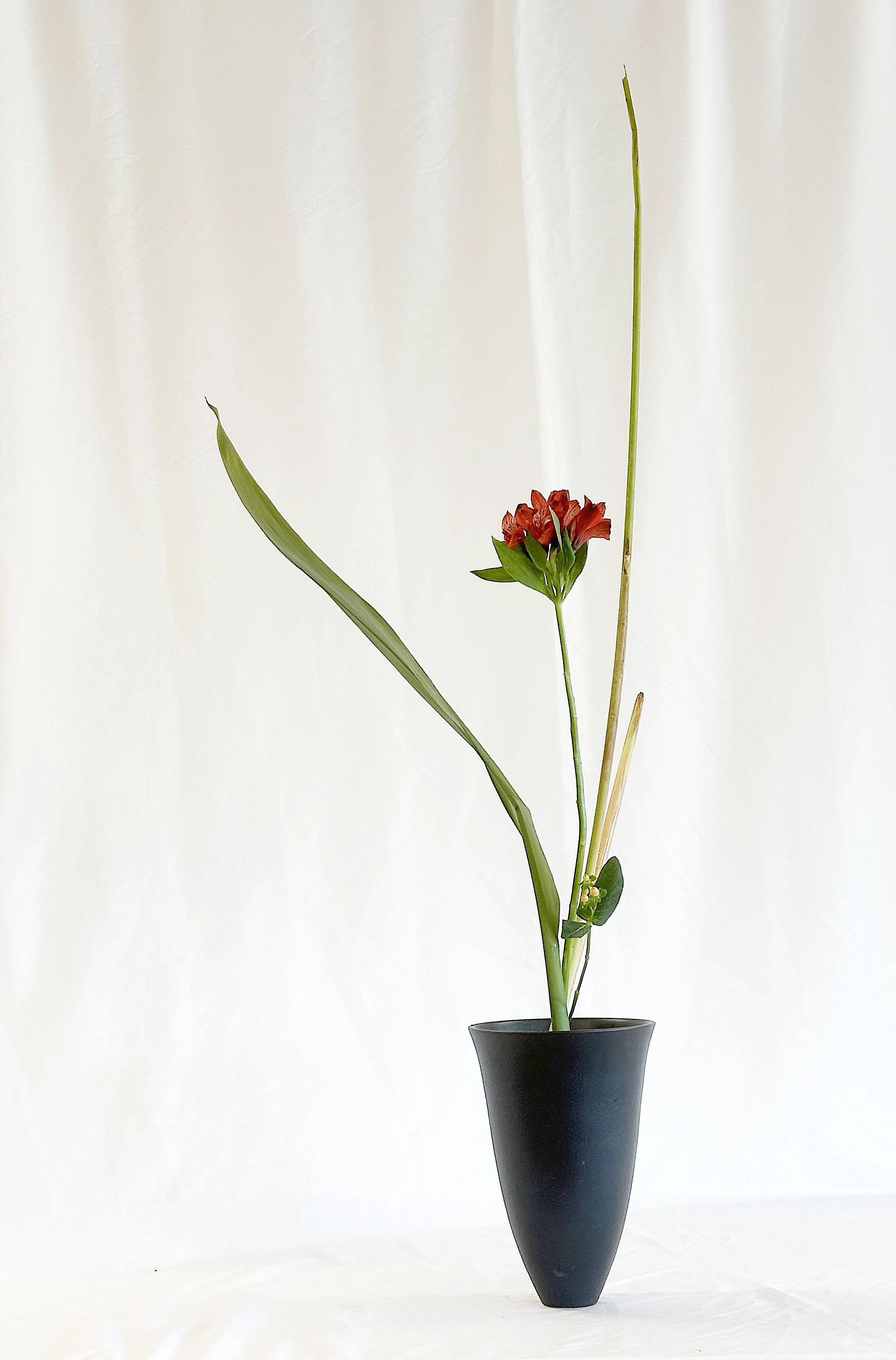 Freestyle - Martha Volpe