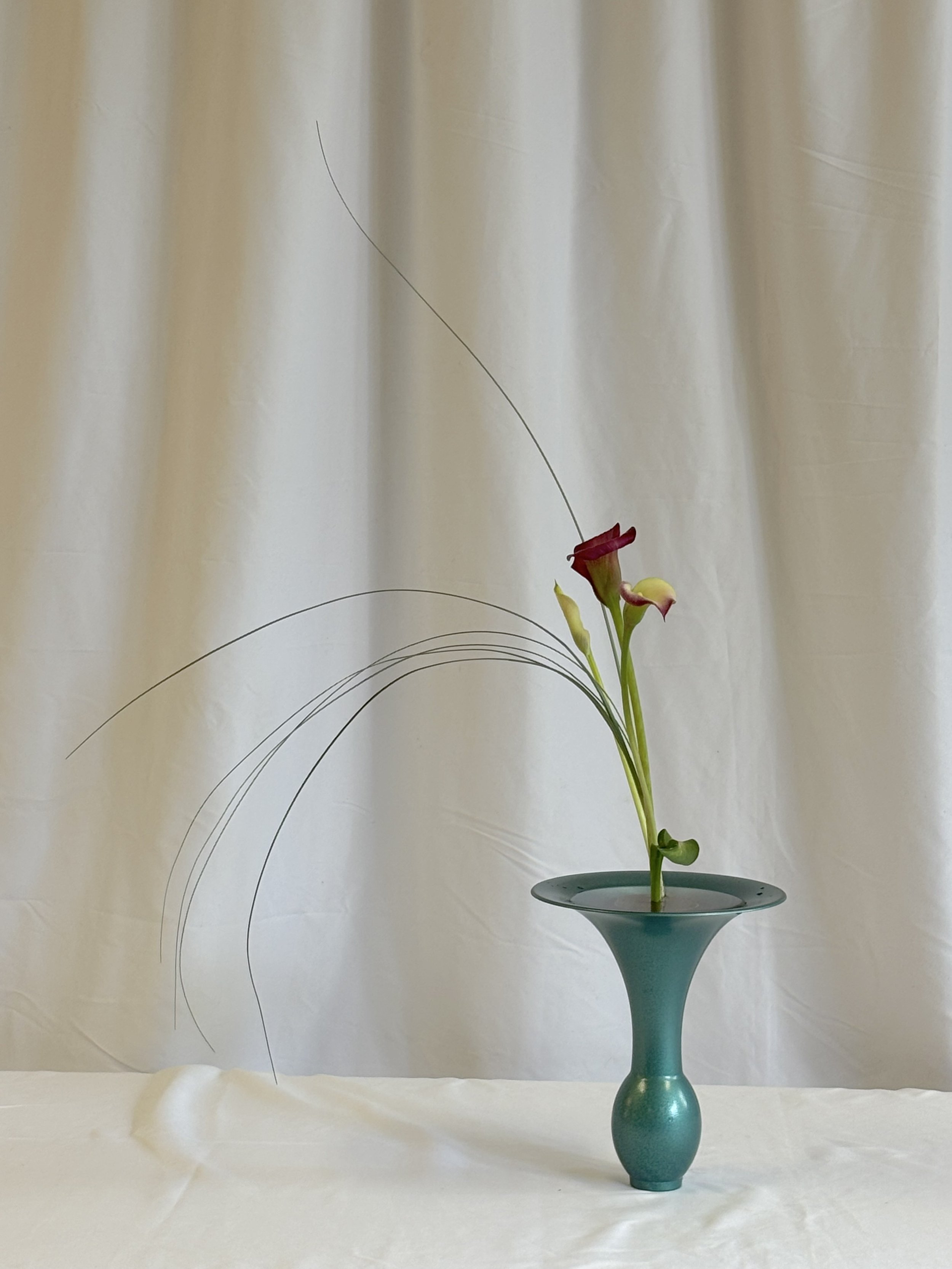 Ileen Conn