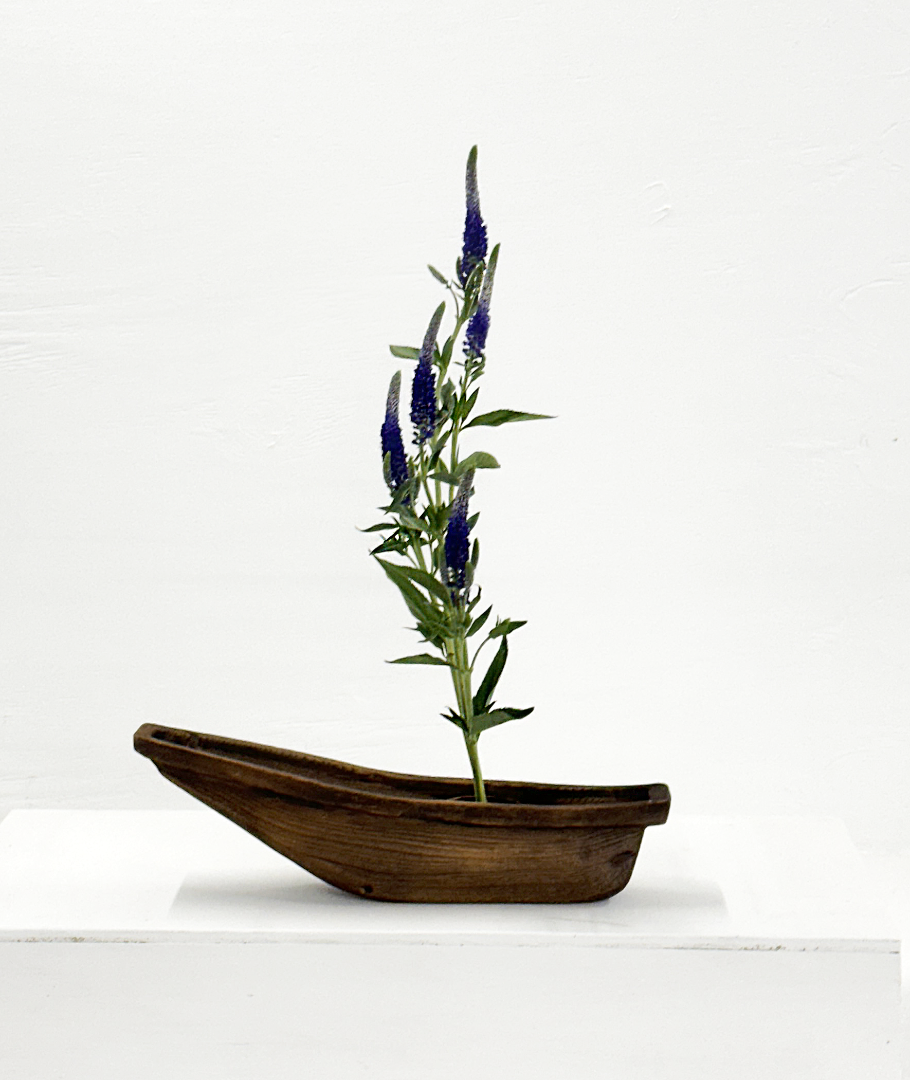 Tomaribune (Standing Boat) - Mimi Santini-Ritt
