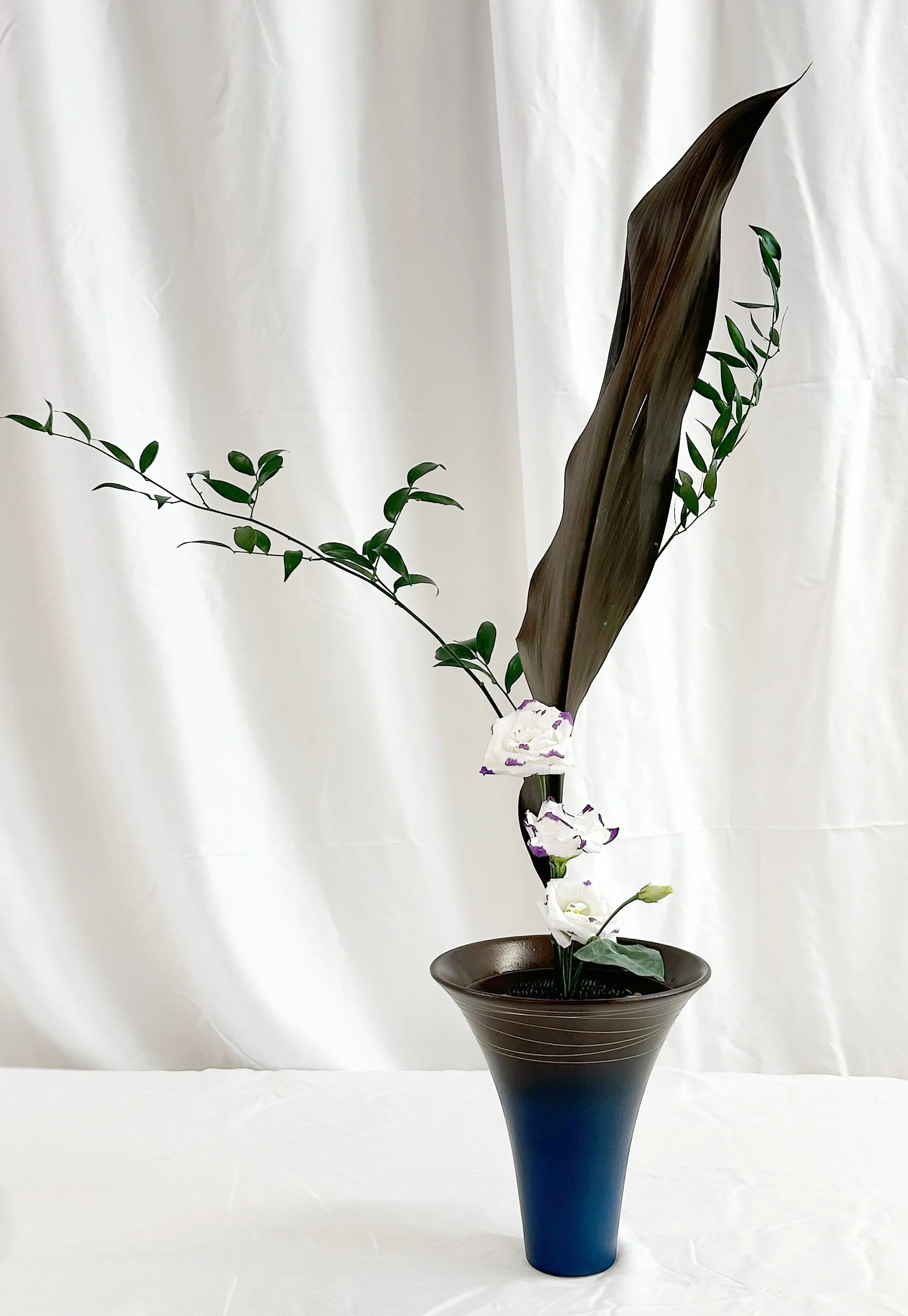Shoka Shofutai Sanshuike - Deb Young
