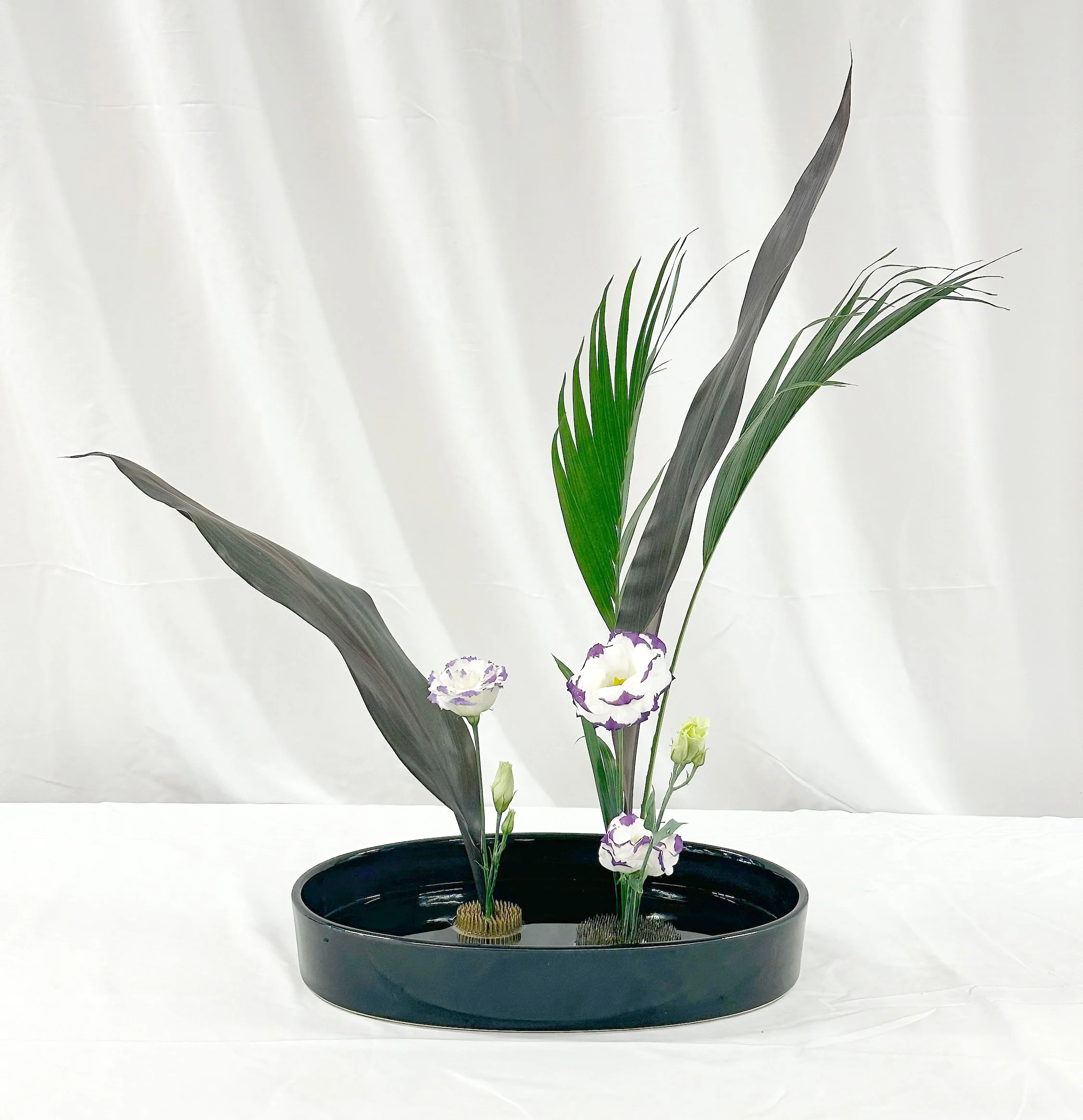 Sanshuike Kabuwake - Jeanne LaFrance