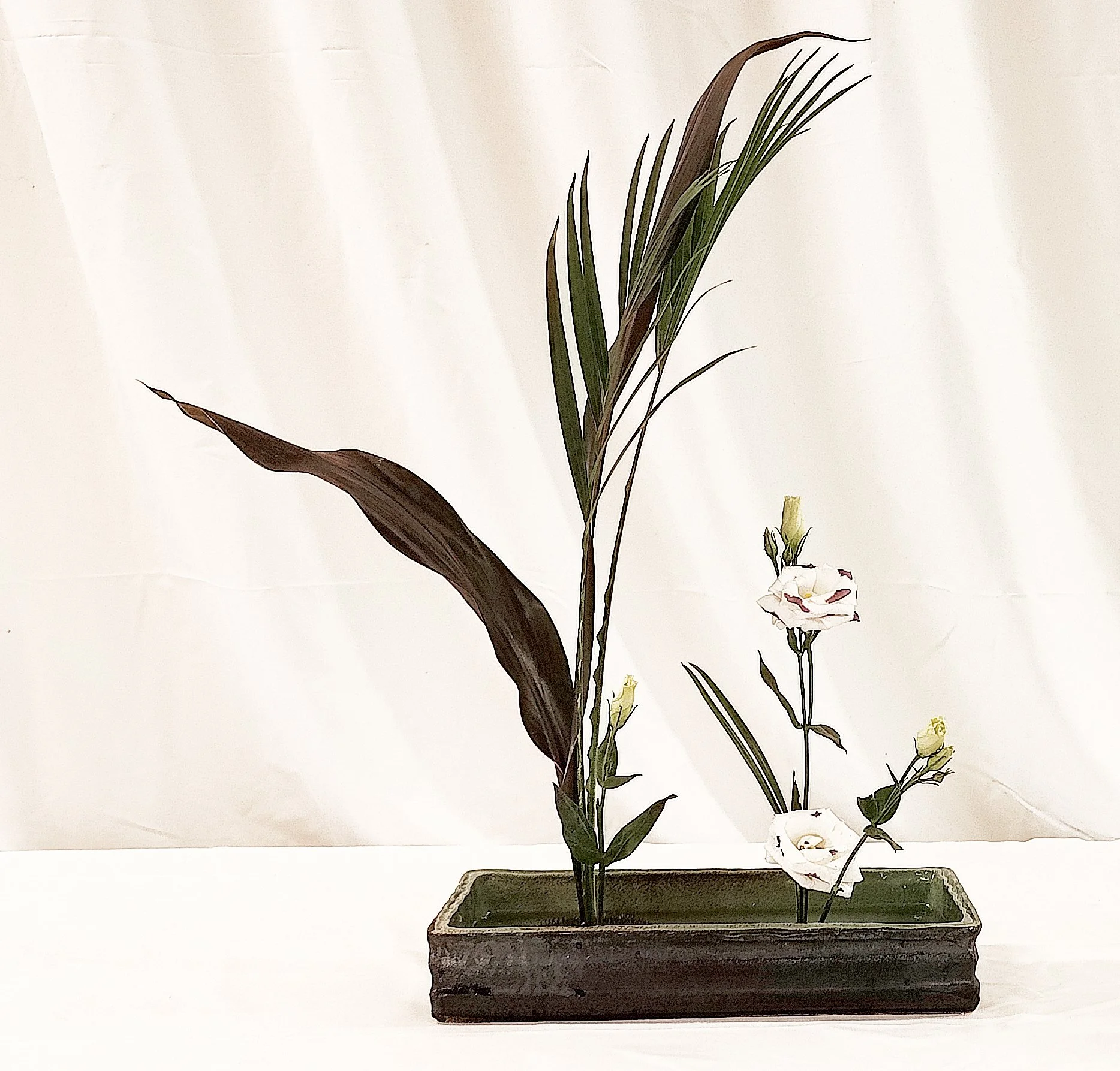 Sanshuike Kabuwake - Deb Young