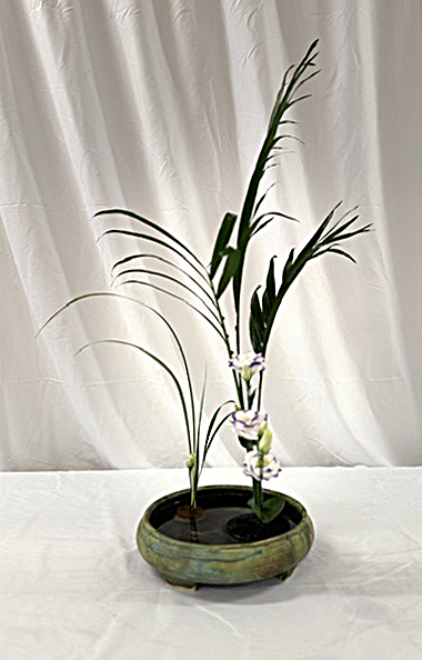 Sanshuike Kabuwake - Martha Volpe