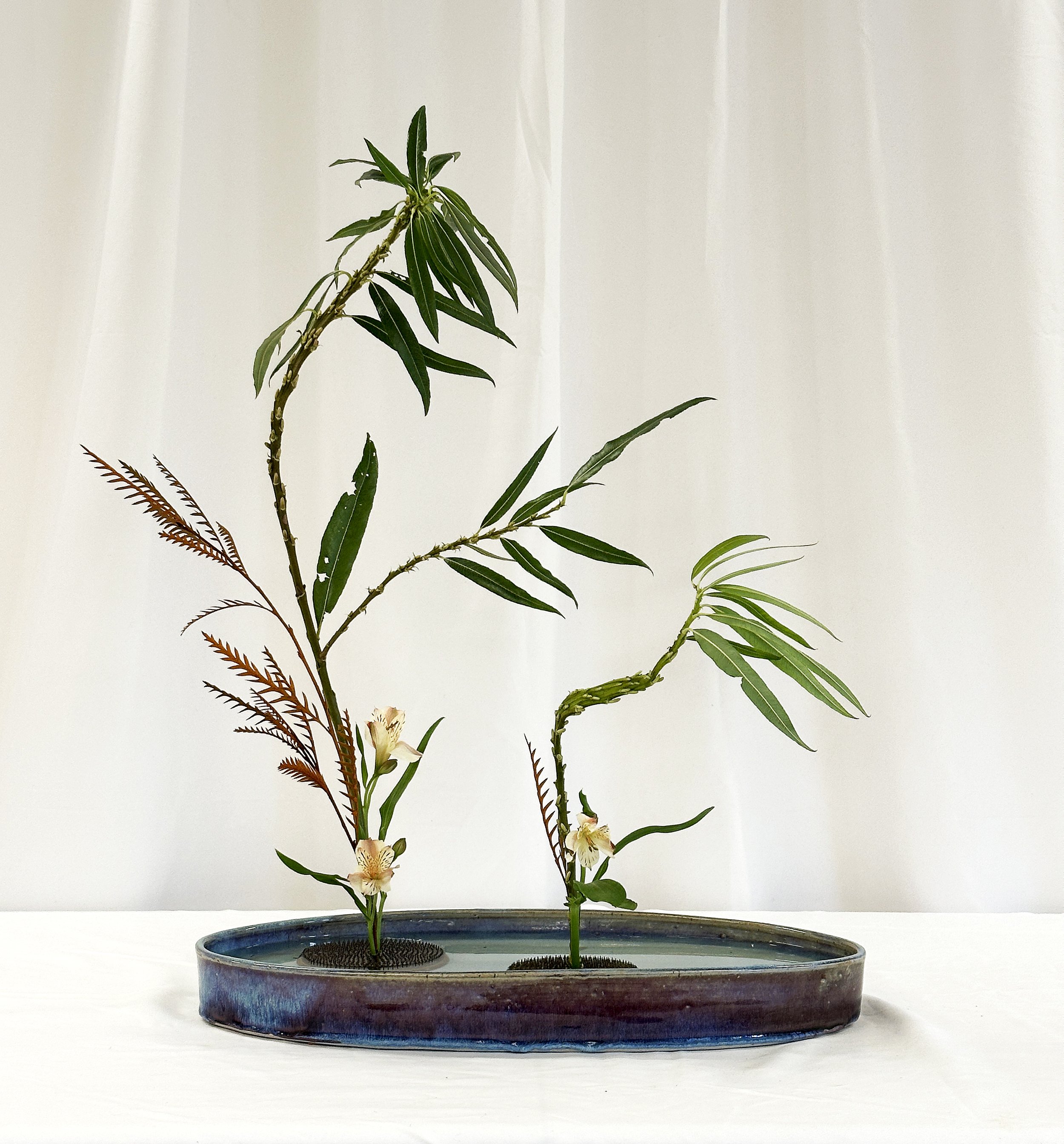 Shoka shimputai kabuwake - Margaret Chojin