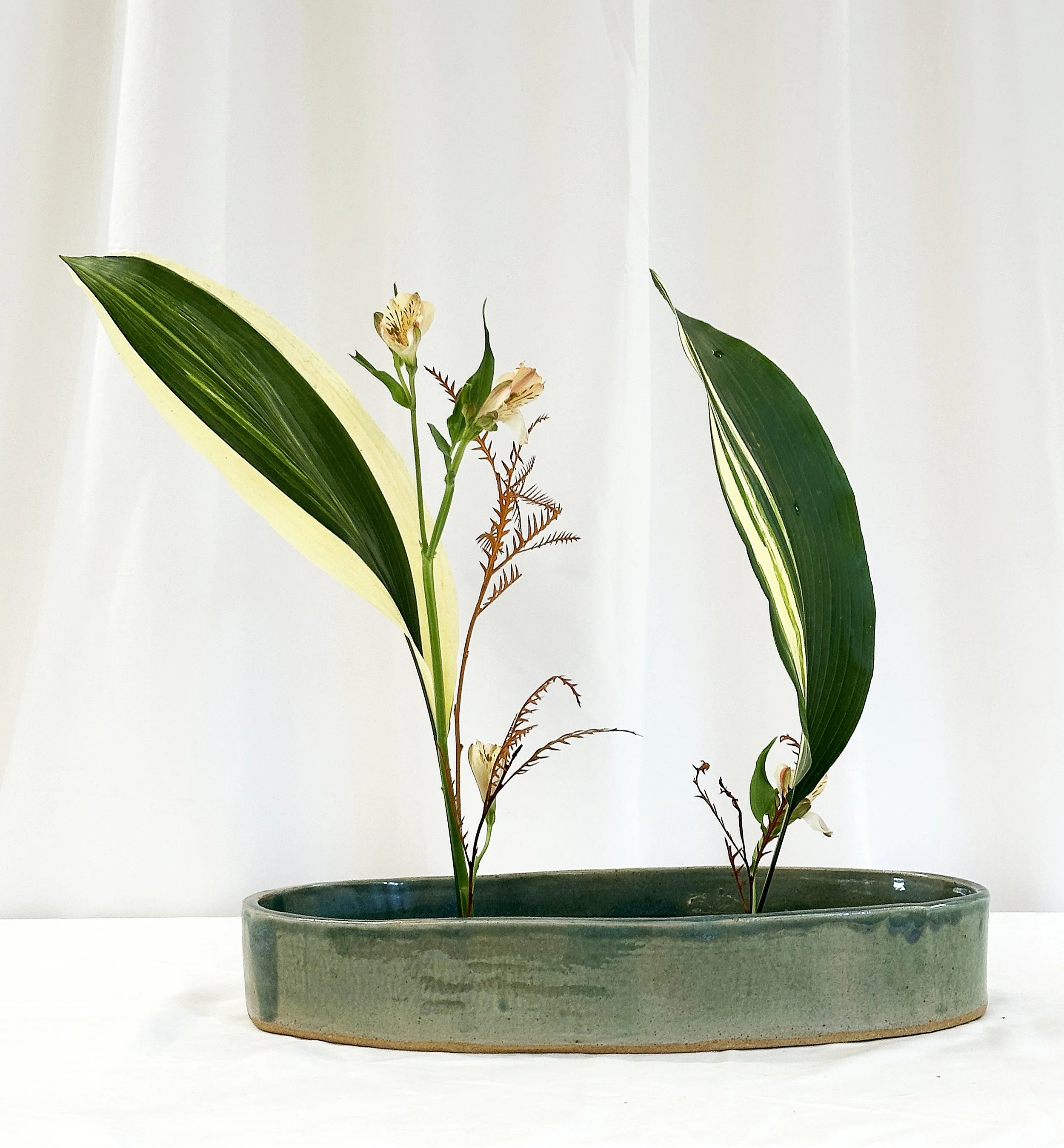 Shoka shimputai kabuwake - Susan Foye