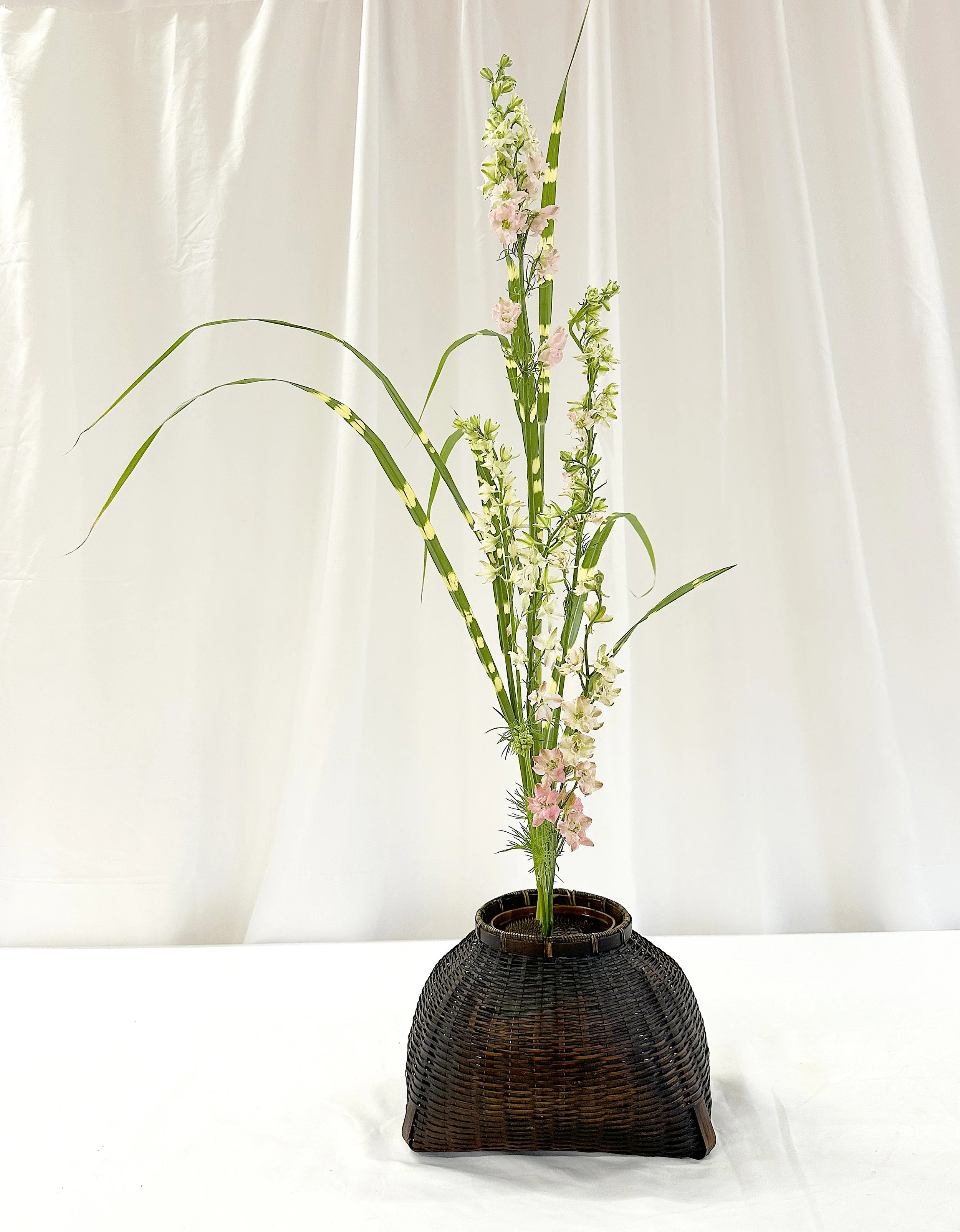Shoka shofutai Maseike - Teresa Silverman