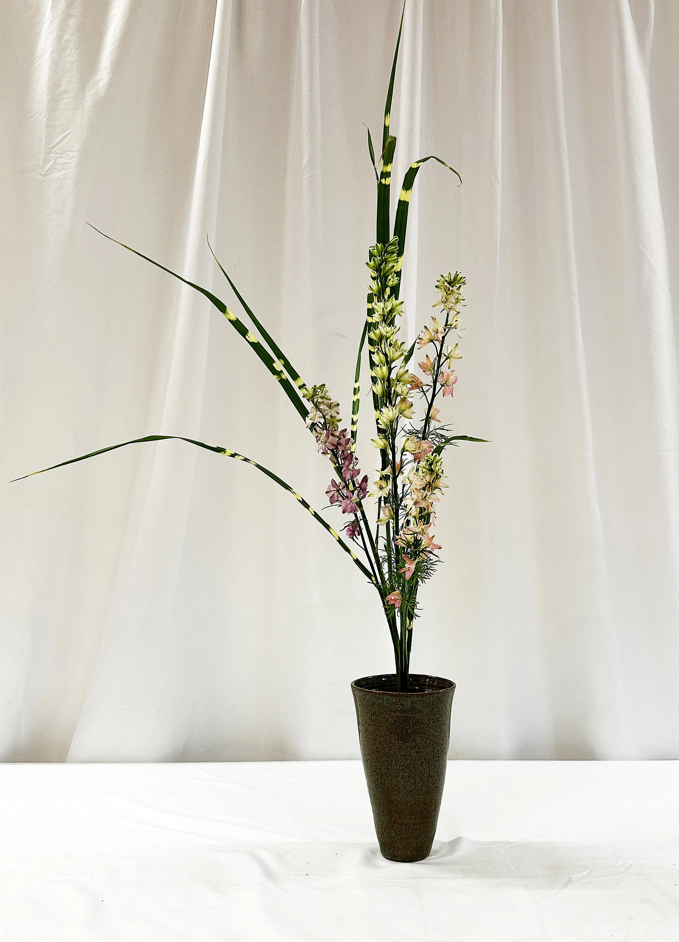 Shoka shofutai mazeike - Susan Foye