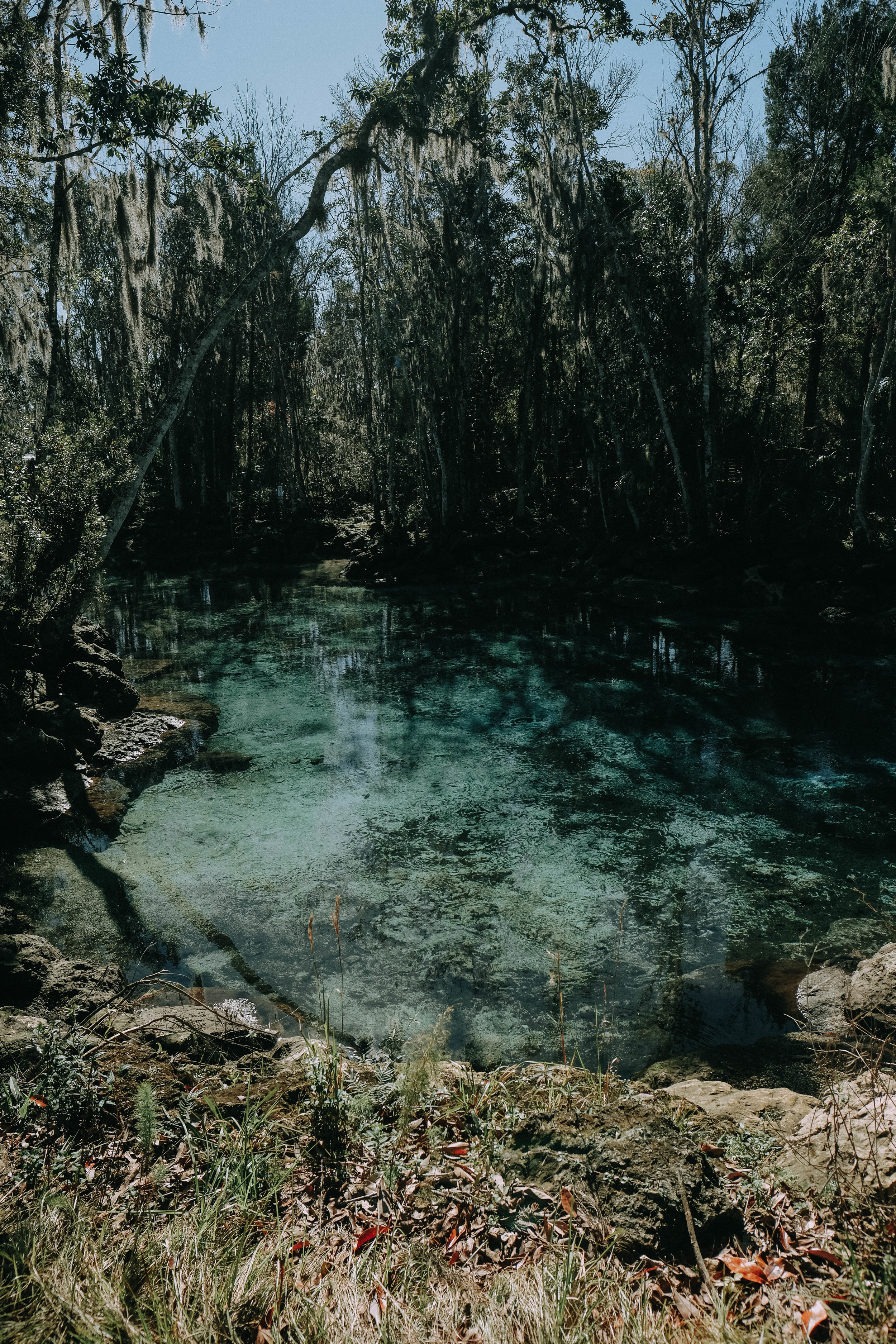 tampa-47.jpg