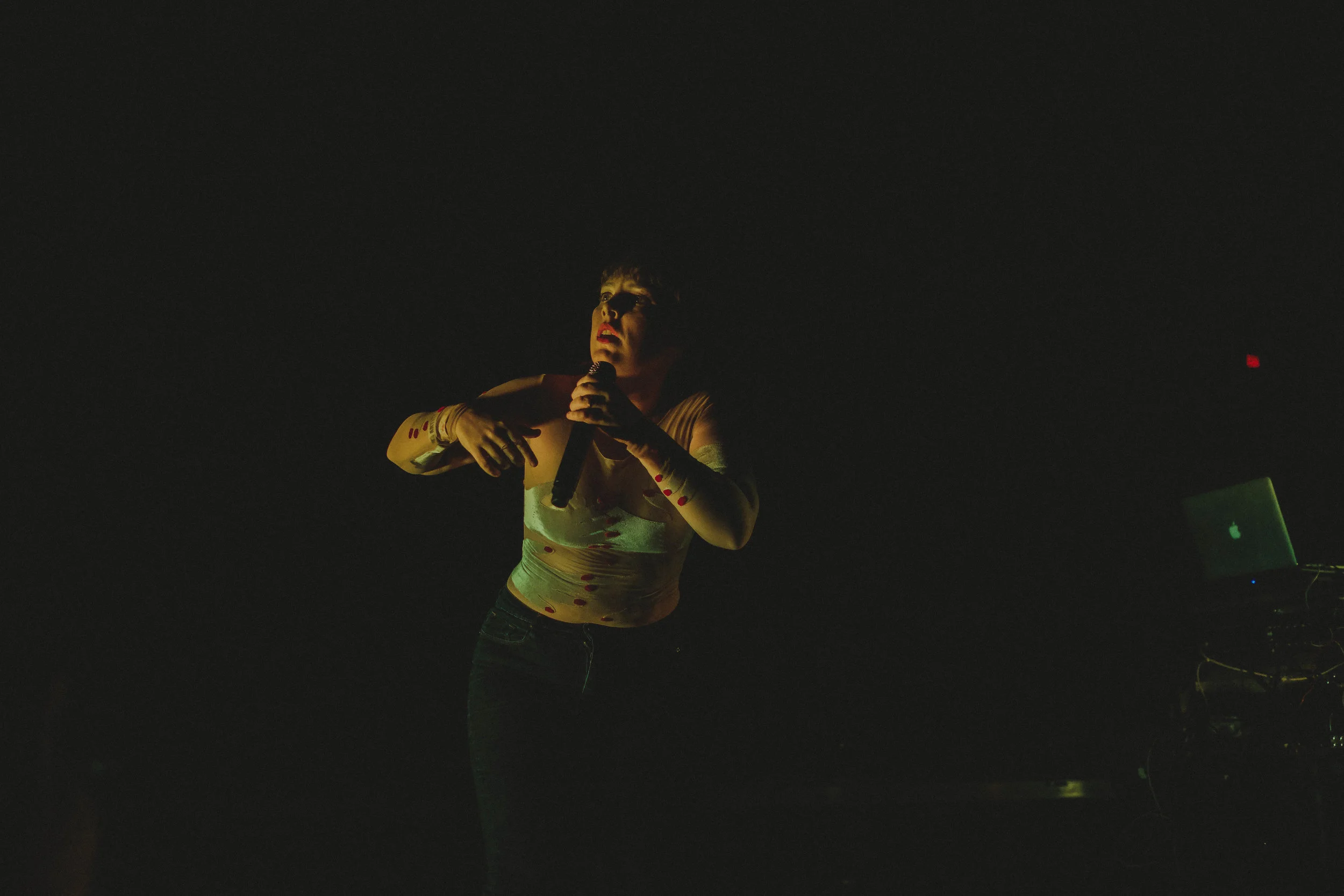 Sylvan Esso