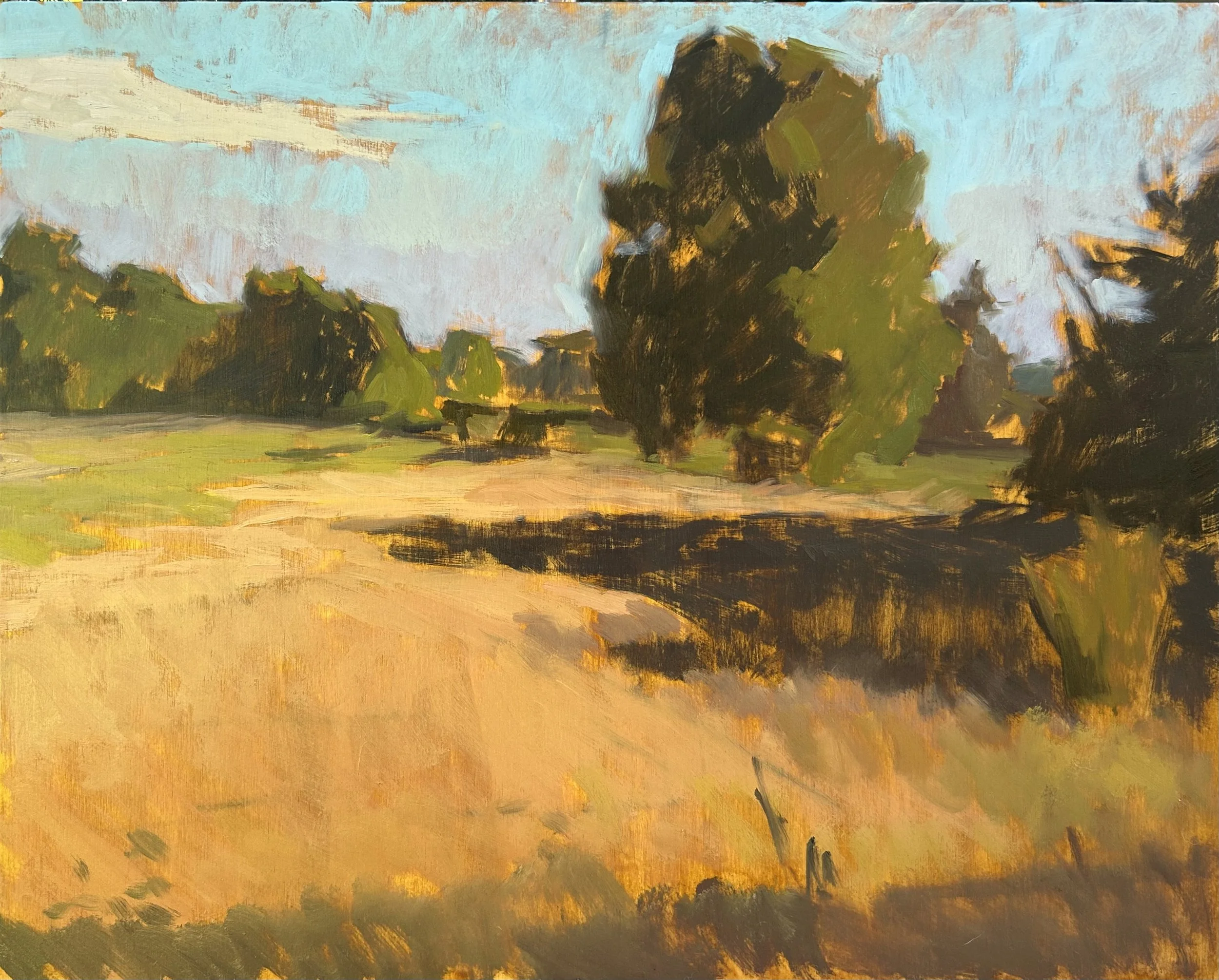 Summer Afternoon, Quail Hill