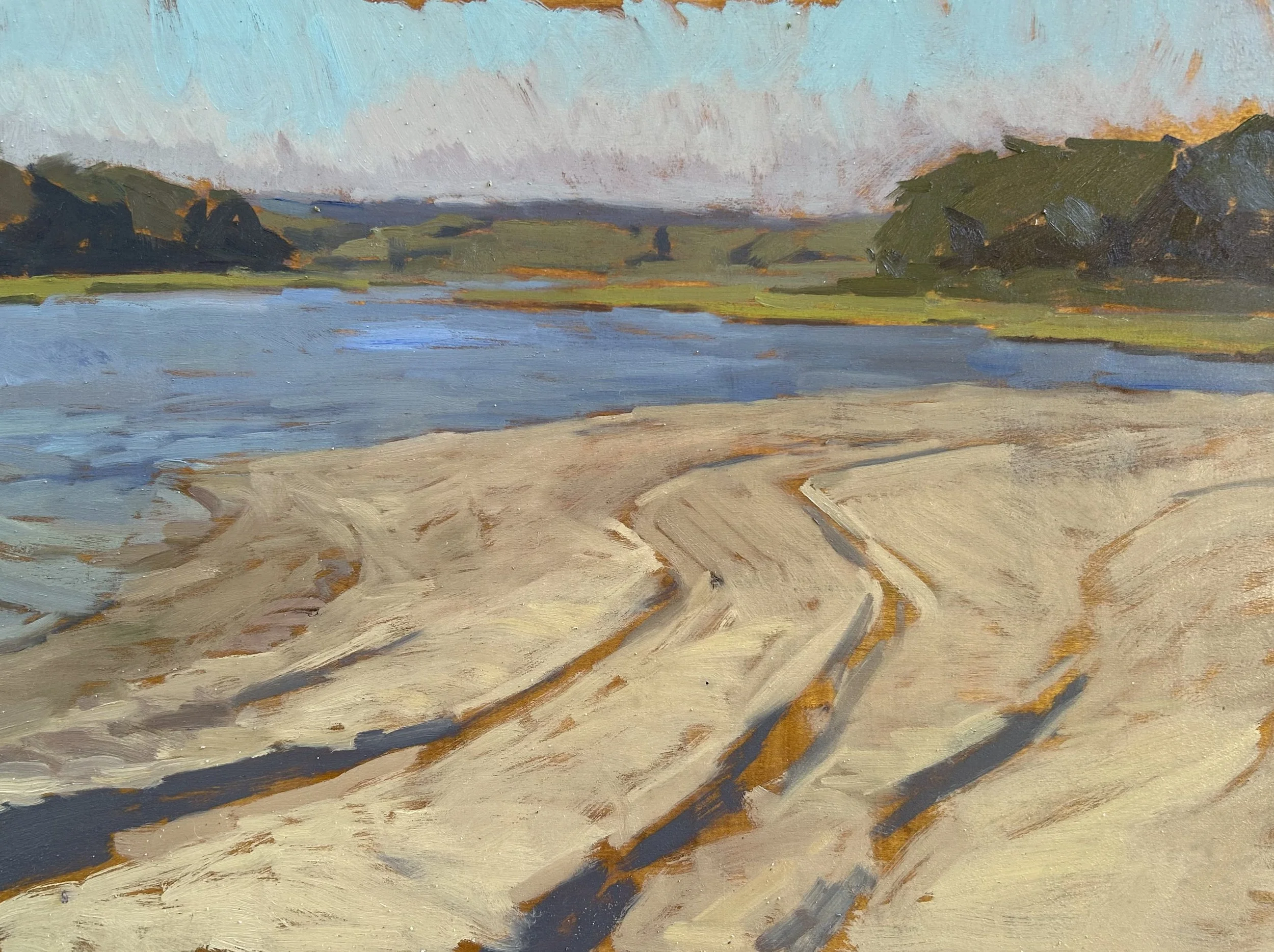 Tire Tracks Study