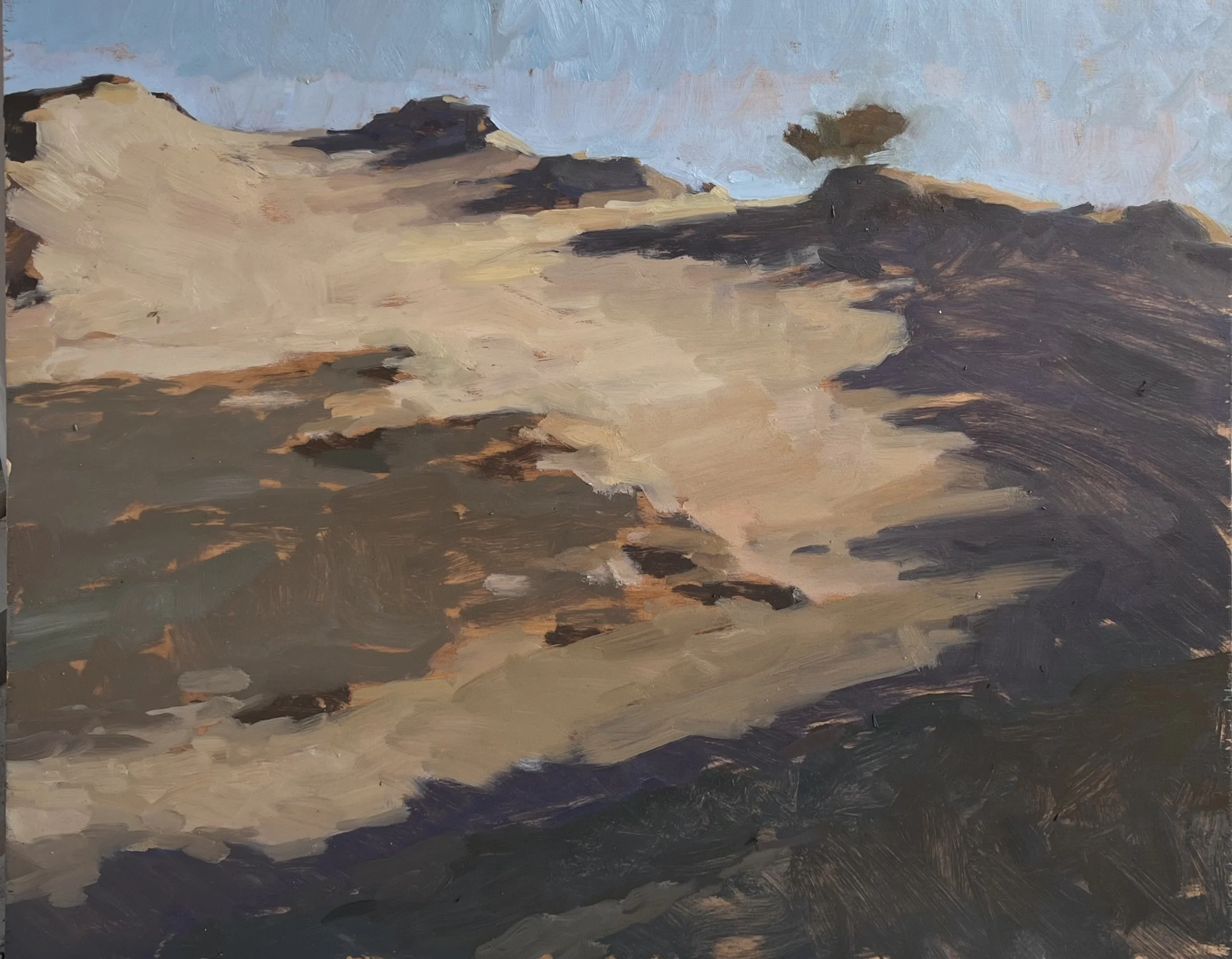 Walking Dunes
