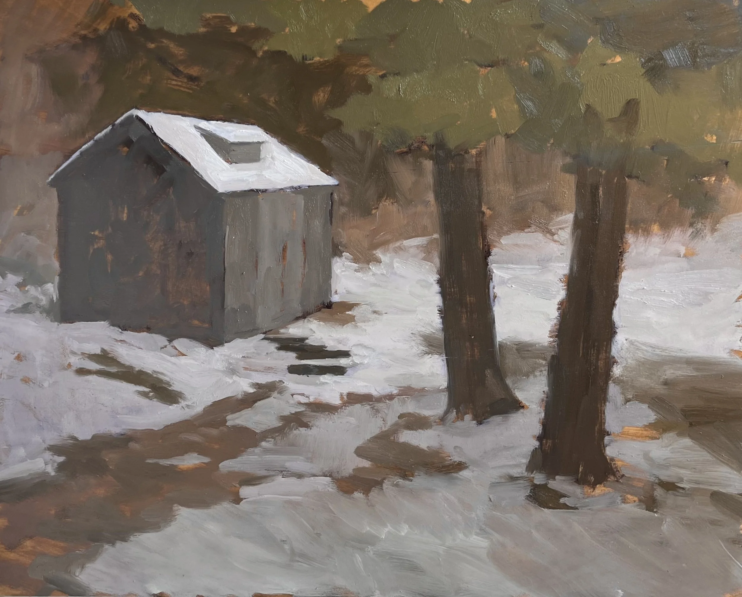 Backyard, First Snow