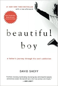  Beautiful Boy David Sheff 