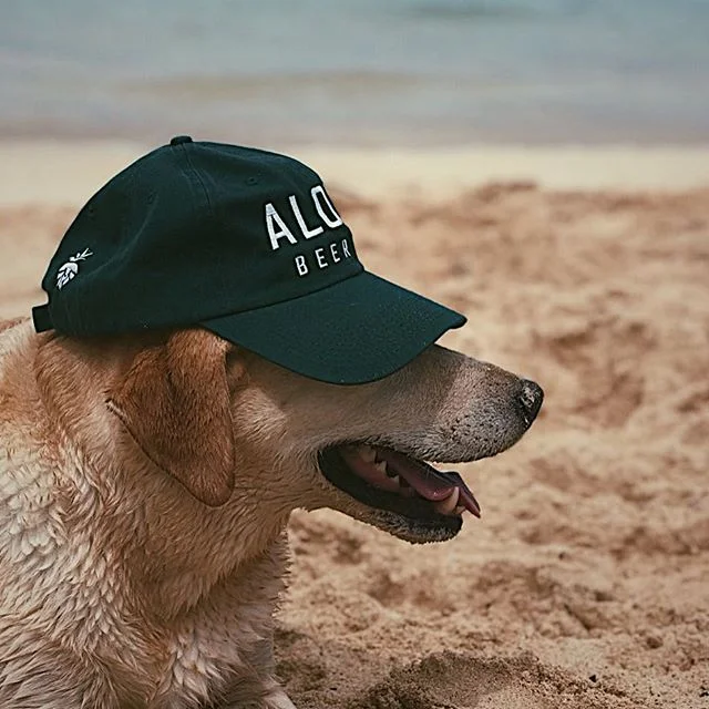 Trucker hats, Dad hats, Dog hats--We got em all.