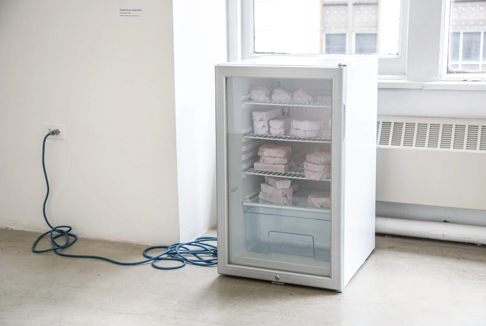 Eliz VanLoan MFA 2016_Documentation_01_18_1.jpg