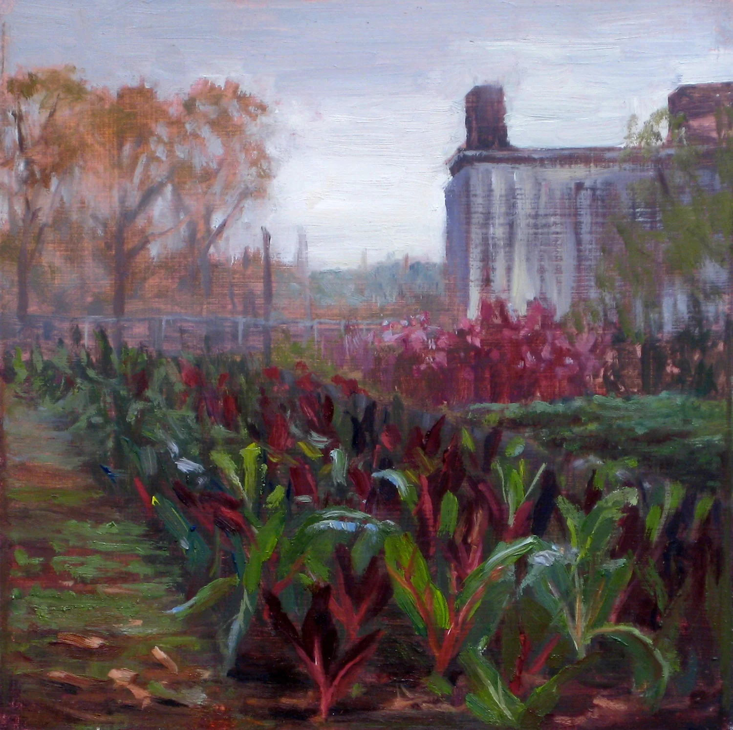 W-NITC-Swiss Chard In Red Hook-Dalrymple 8x8-oil on canvas-2010-SOLD.jpg