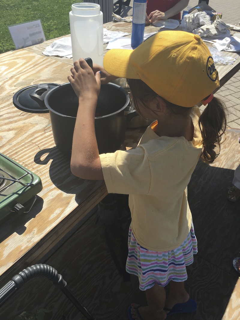 Dyeing With Weeds w/ Christine Facella 