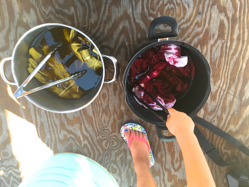 Dyeing With Weeds w/ Christine Facella 