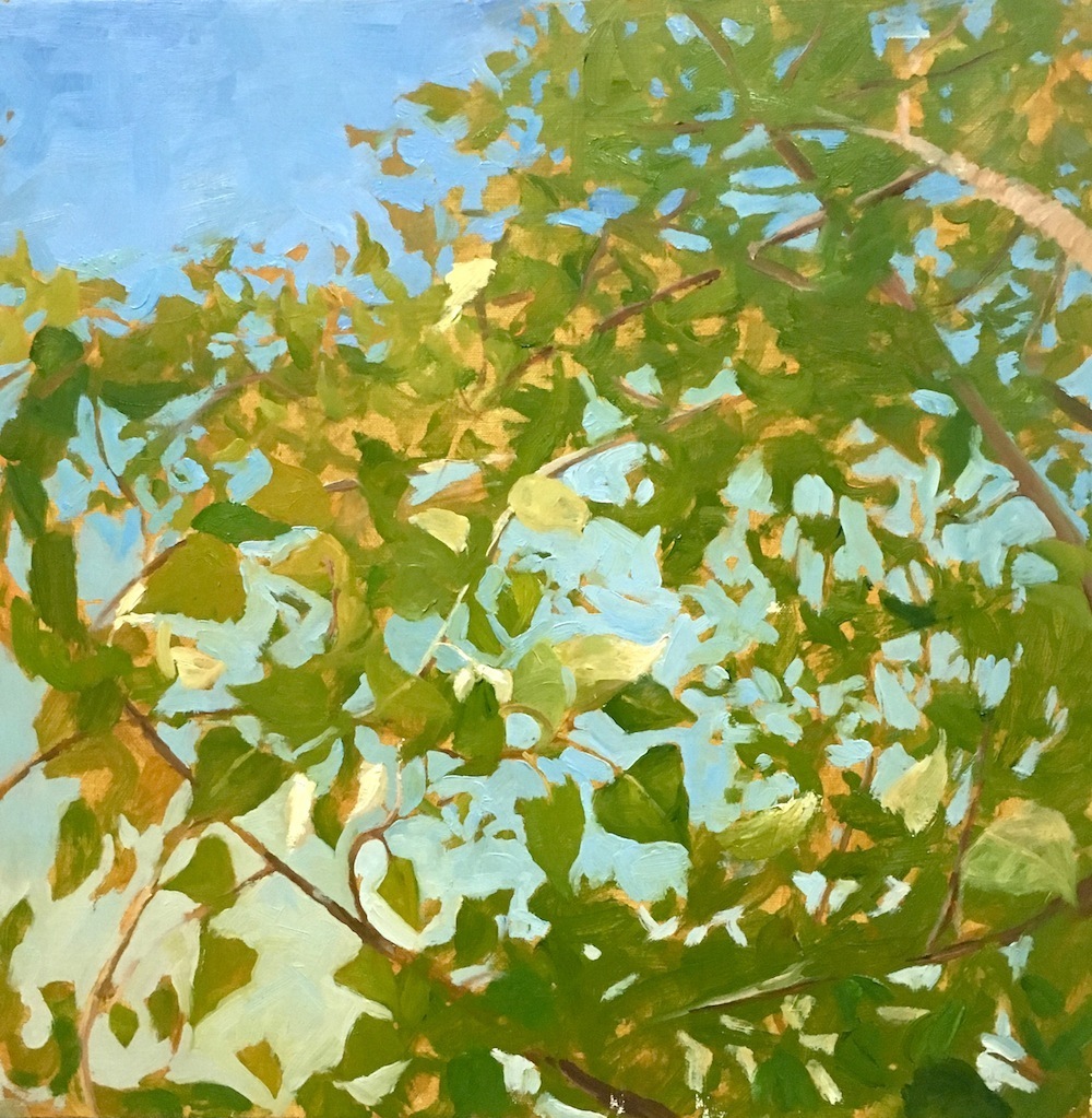7. Native; Populus  nigra (Poplar), 18%22x18%22, oil on canvas (2016).jpg