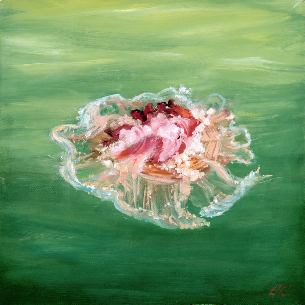 HI RES edit-N&NN-Cephea cephea (cauliflower jellyfish)-Dalrymple-12x12-oil on canvas (2016) copy.jpg