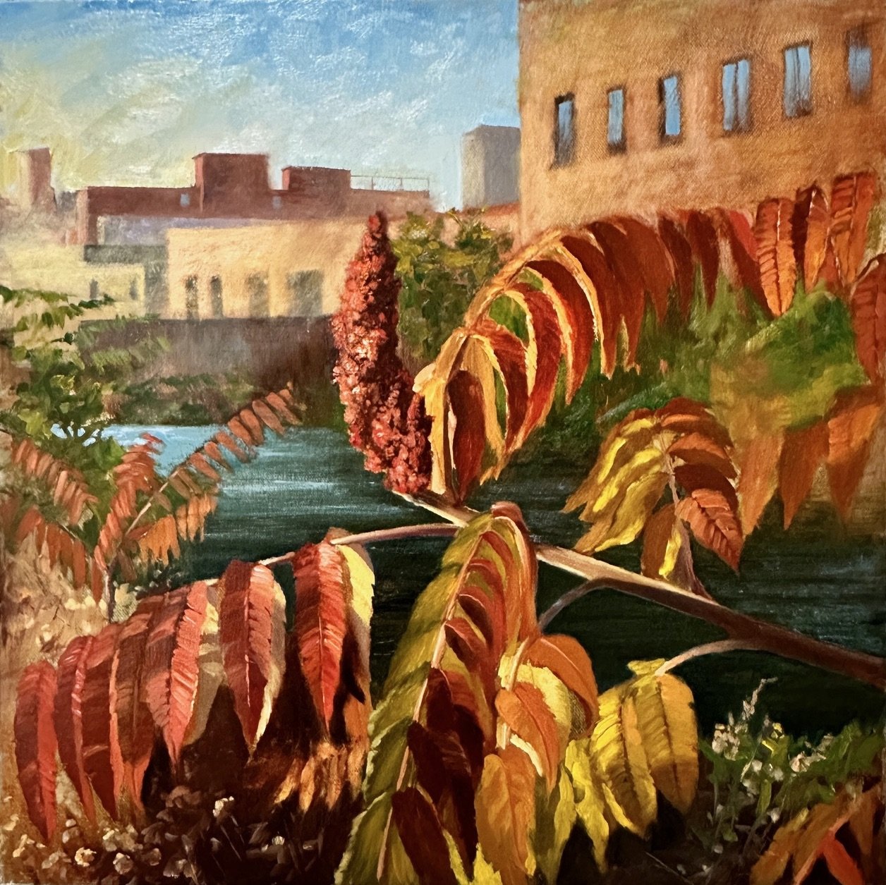 1. Native; Rhus typhina (Staghorn sumac) 18%22x18%22 oil on canvas.jpg