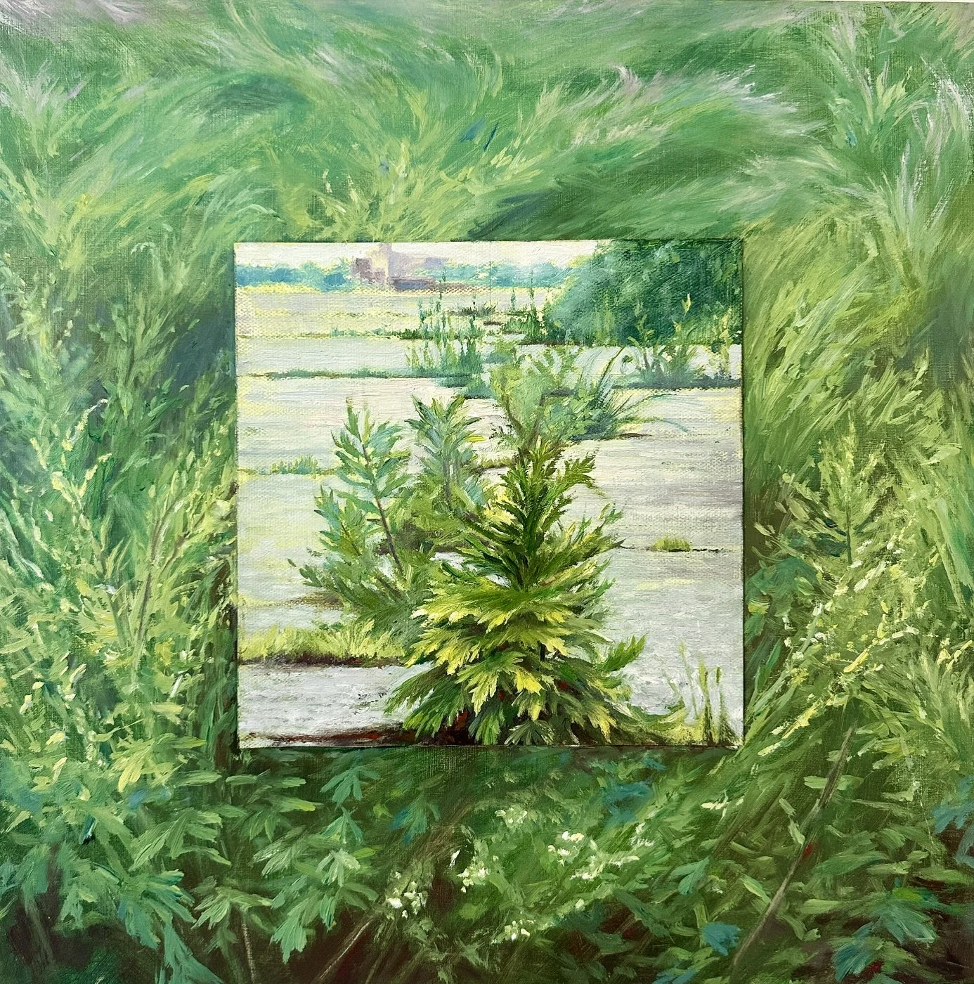 1_Selected Weed; Mugwort.jpg