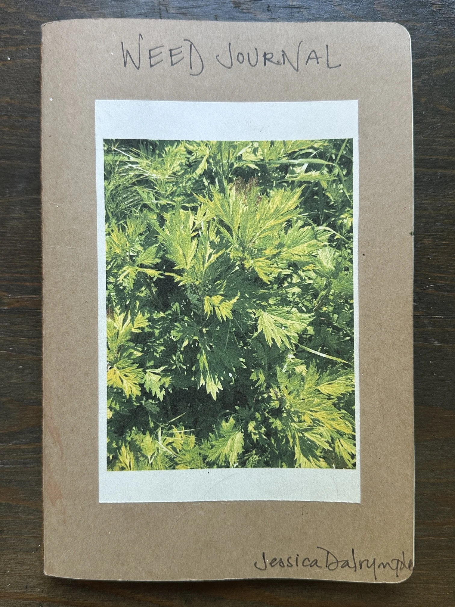 2_Weed Journal.JPG