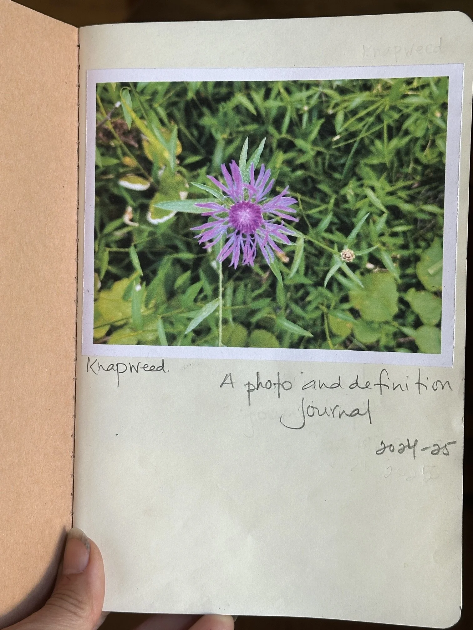 3_Weed Journal.JPG
