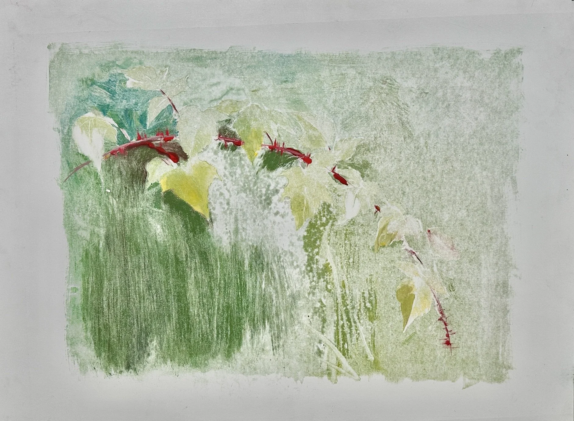 4. Wild Plant; Wineberry 20%22x30%22 monoprint on paper (ink & water color) (2025).jpg