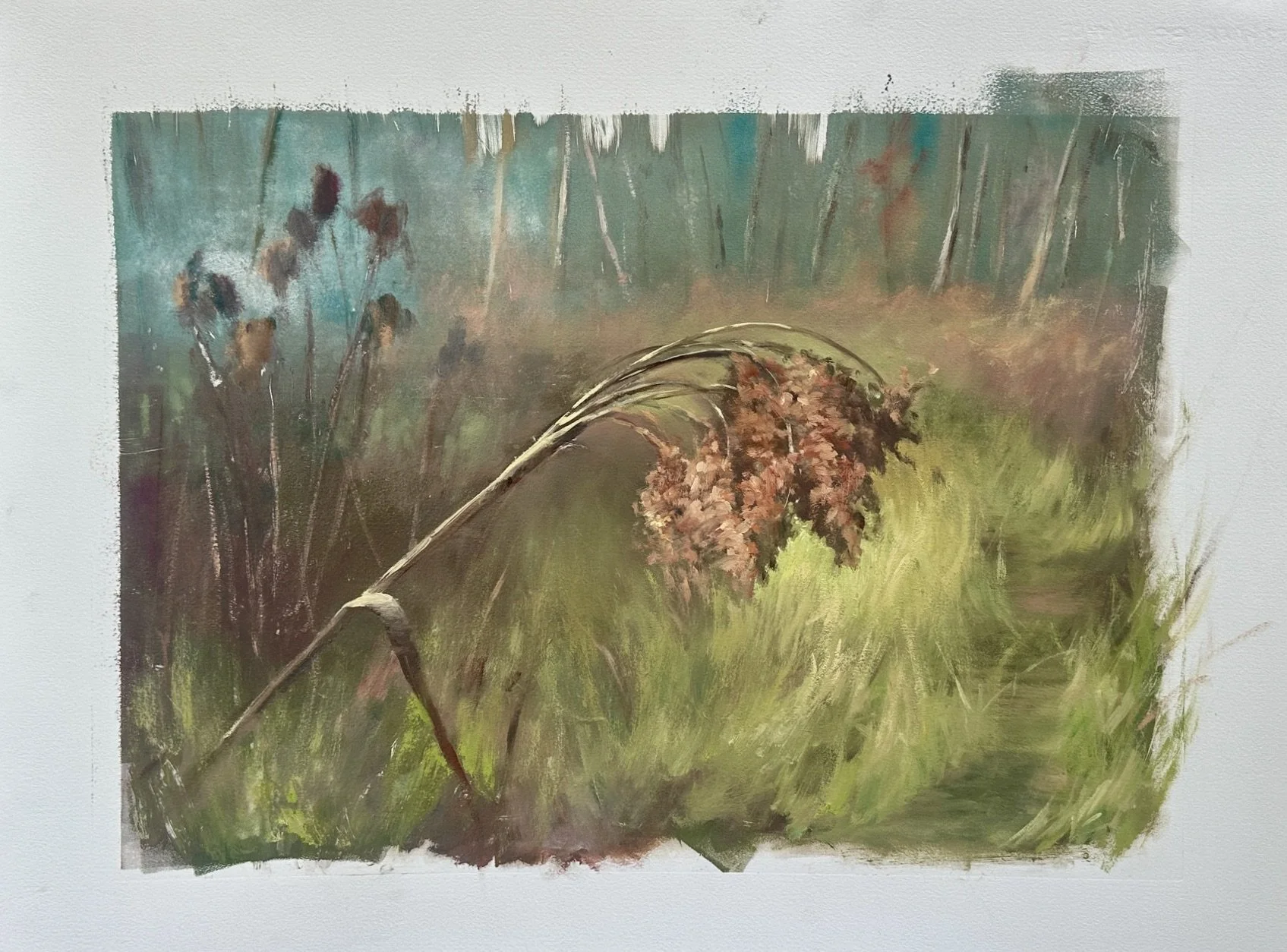 updated woolgrass.jpg