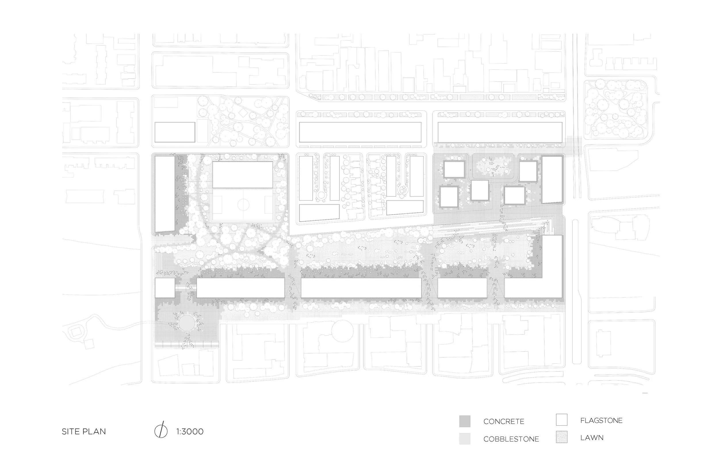 Site Plan: Neda Nassiri