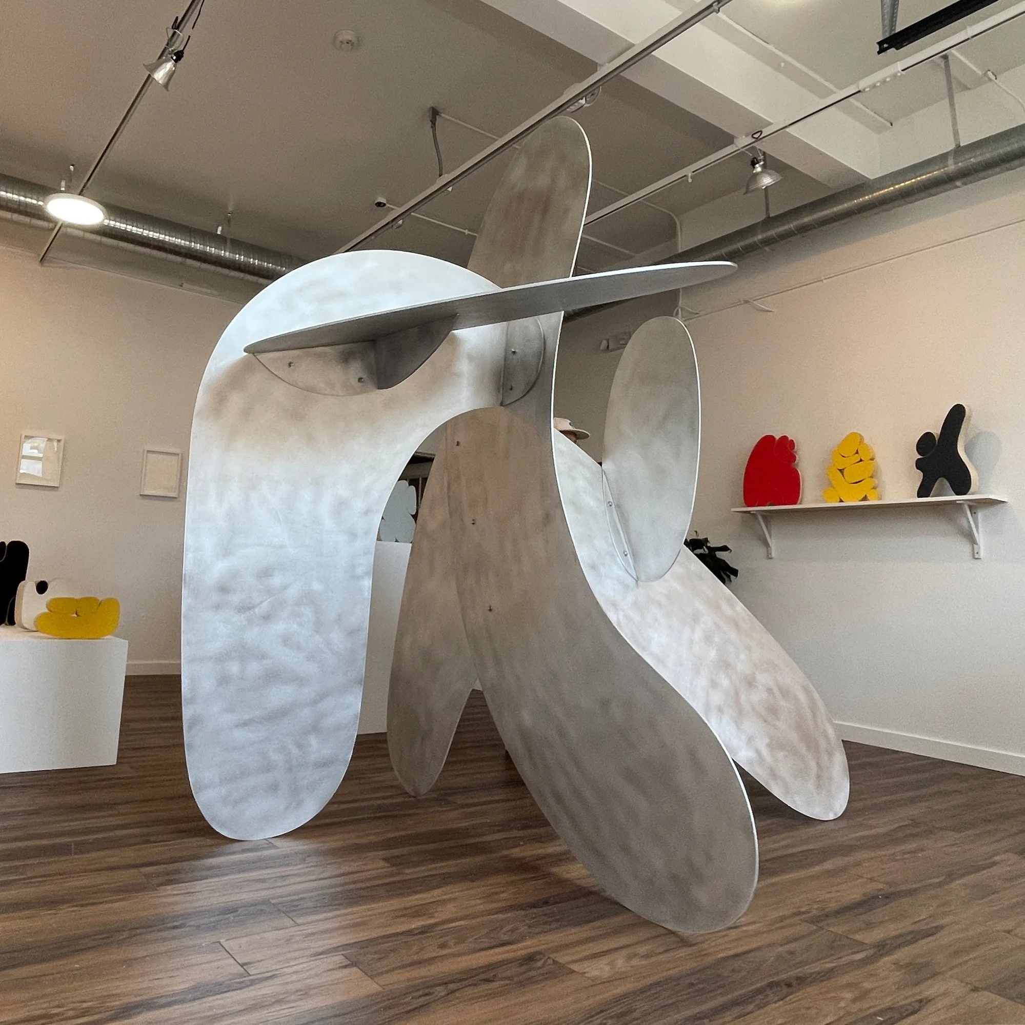 “Reach”  Brushed Aluminum & Steel 8’x10’x7’