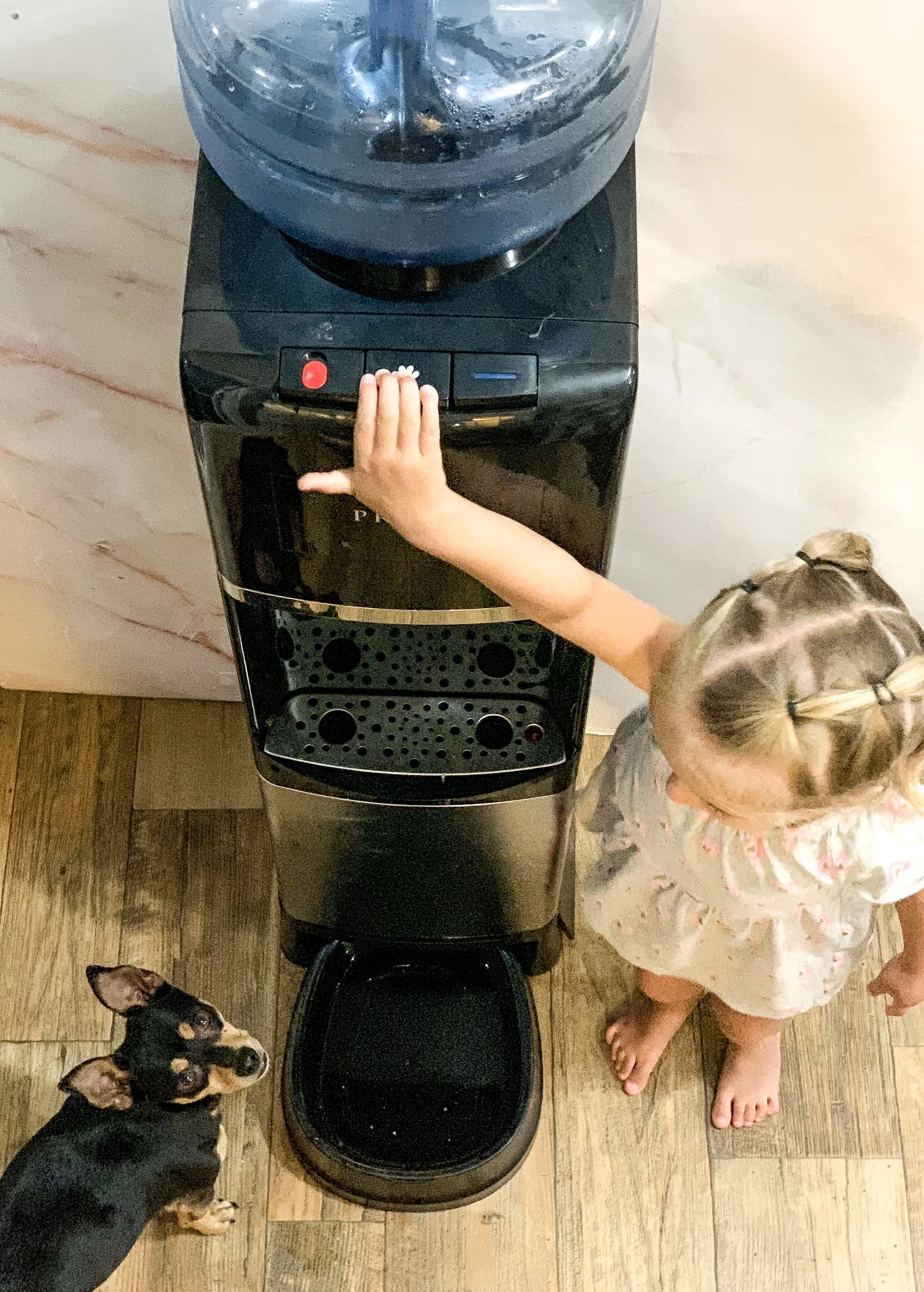 deluxe top loading water dispenser with pet station