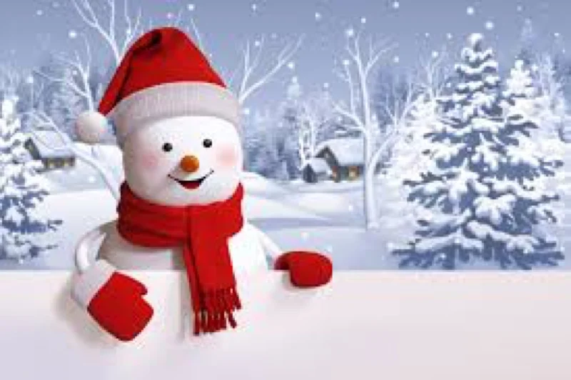 Holiday Christmas Party