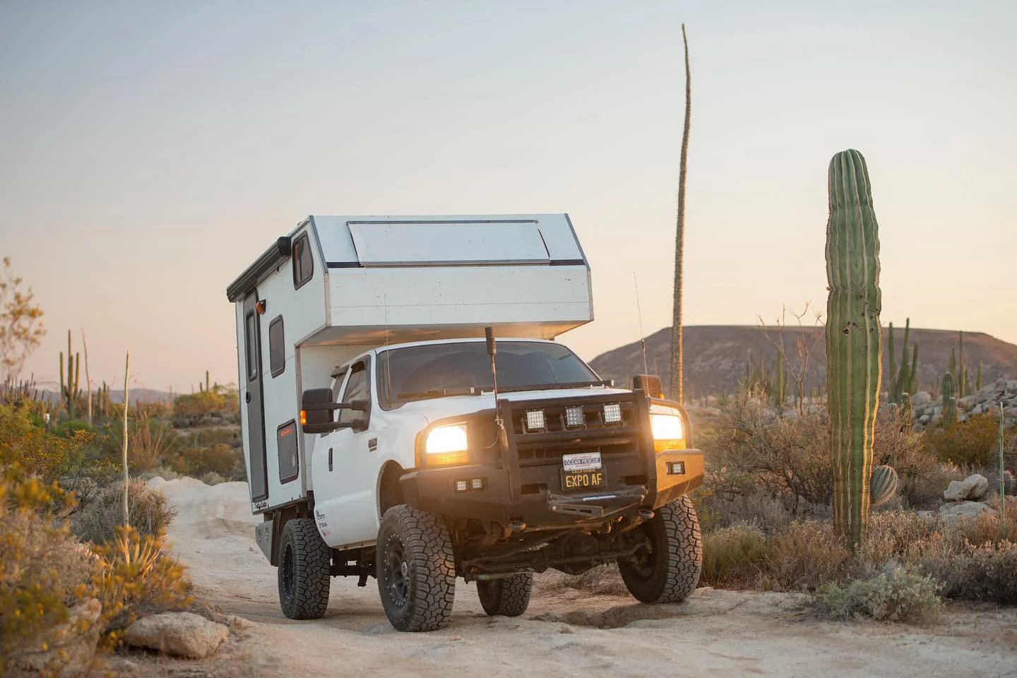 [Image: 8F350779-224B-4599-B3BE-C1818224884B.JPG?format=1500w]