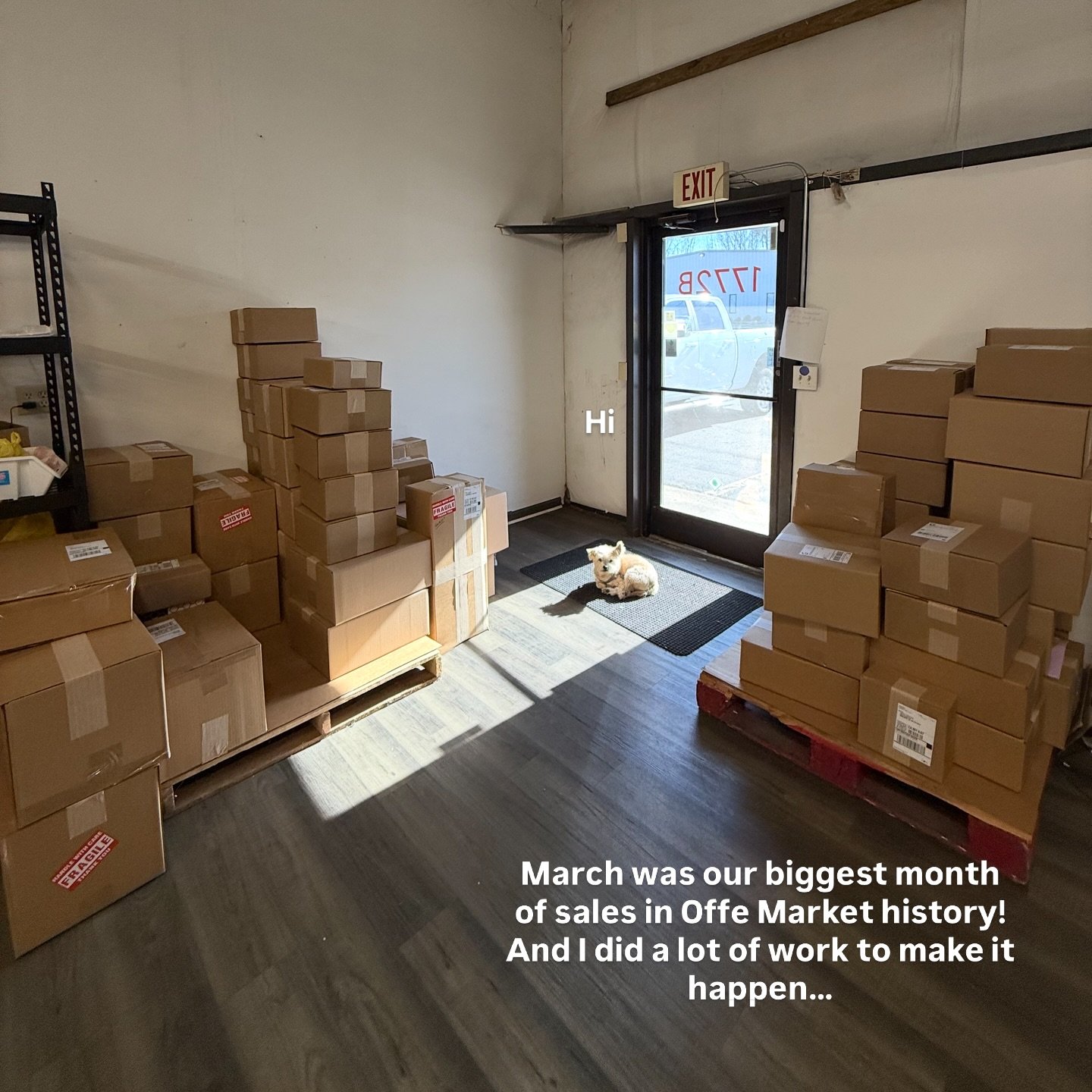 We couldn&rsquo;t have done it without the leadership and guidance from the words cutest boss, Harlowe 🐾💓🥂