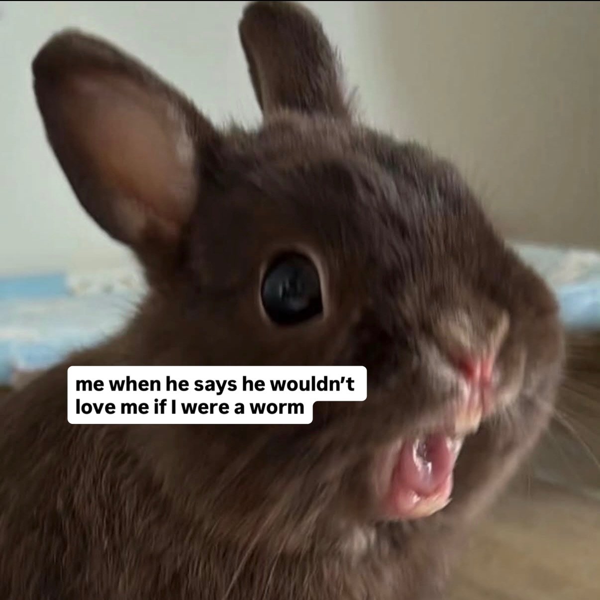 hoppy easter ✨🥂🐰💞🌼