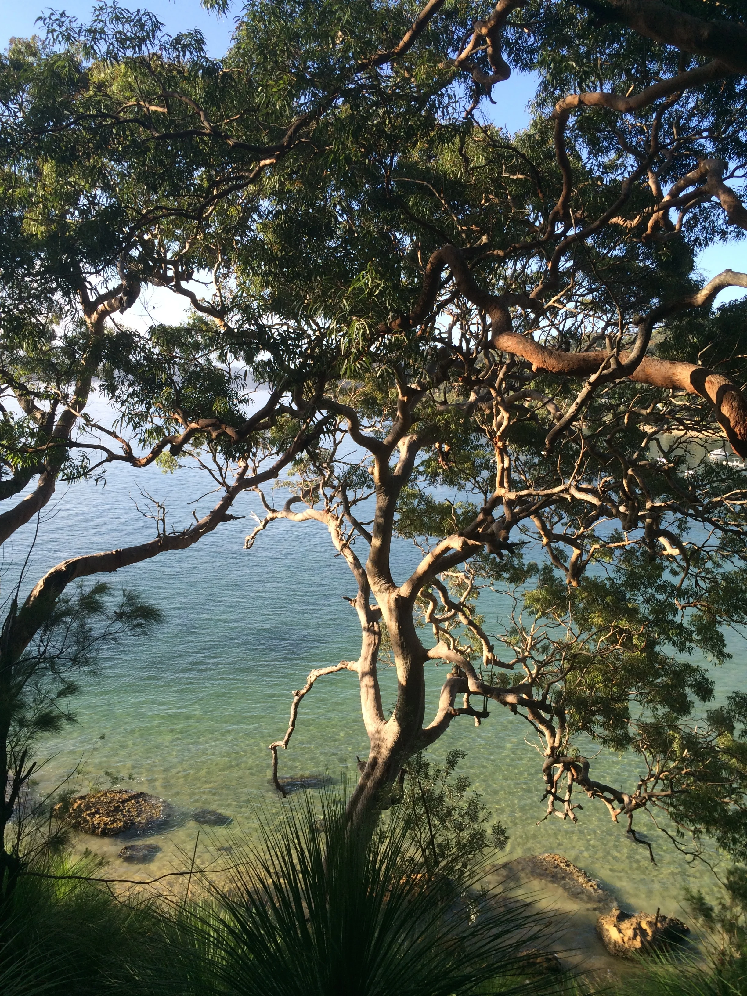 Bushwalk to Resolute Beach