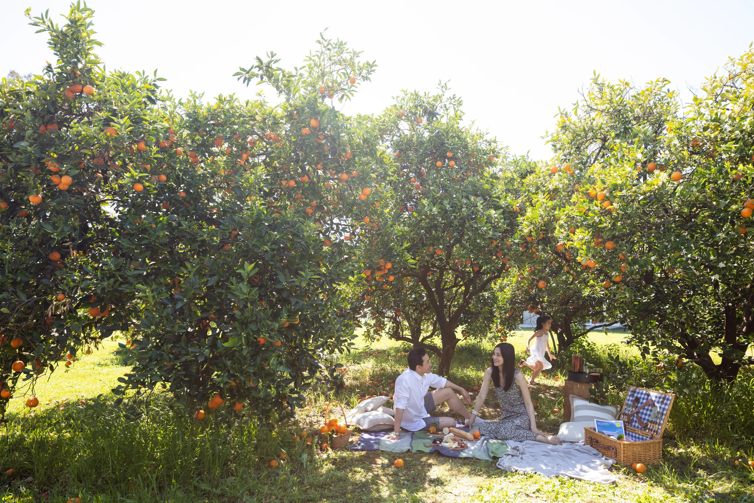 DNSW_0071.jpg