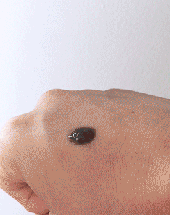 make-moonlight-primer-review.gif